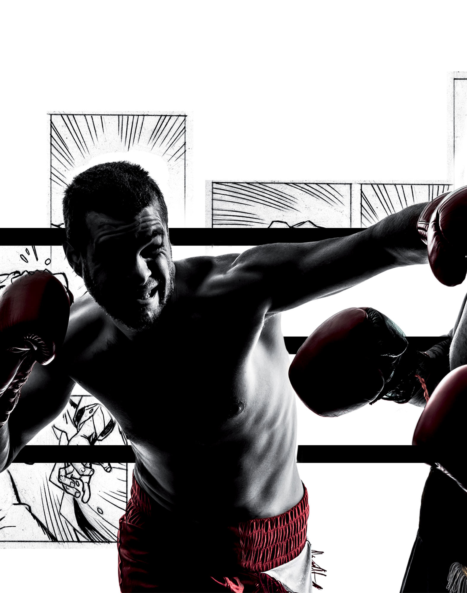 BOXER COURT BOOM