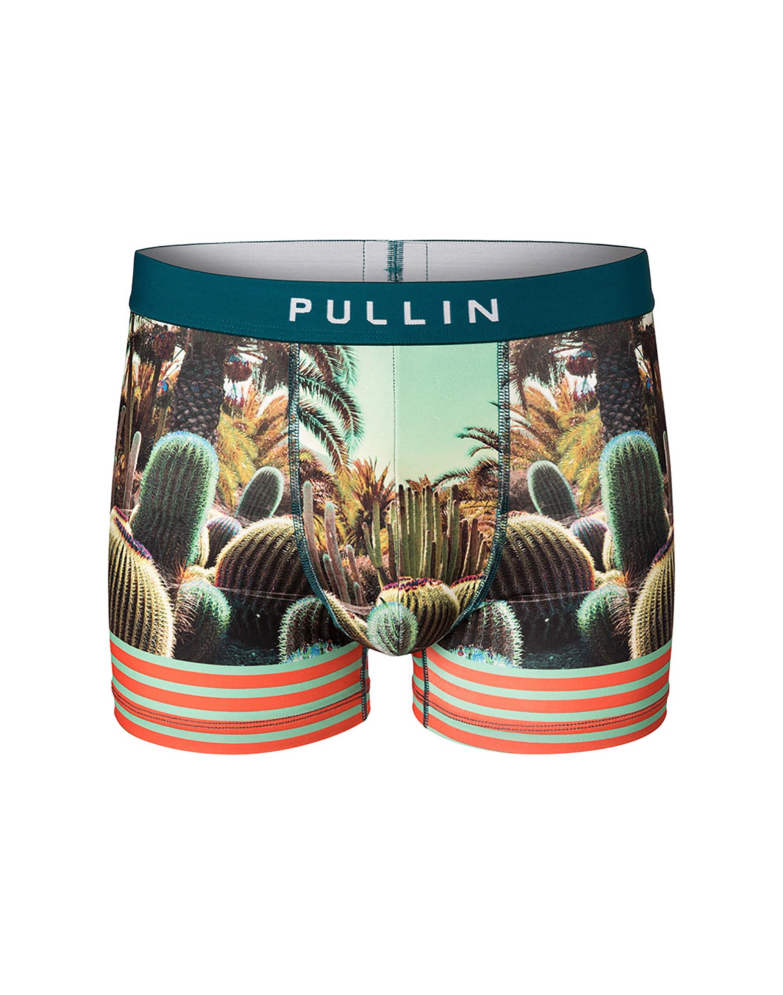 Boxer homme Master CACTUS