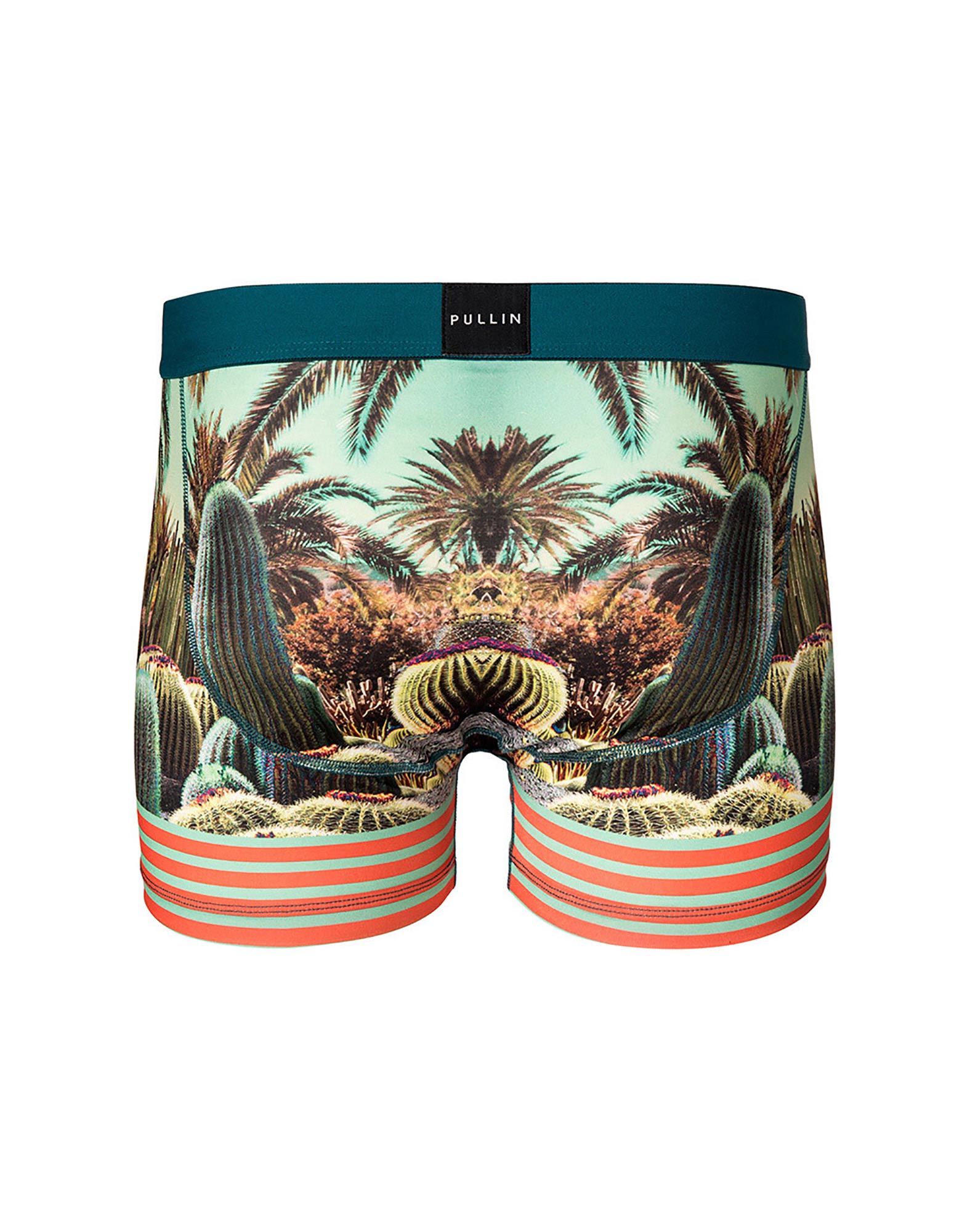 Boxer homme Master CACTUS