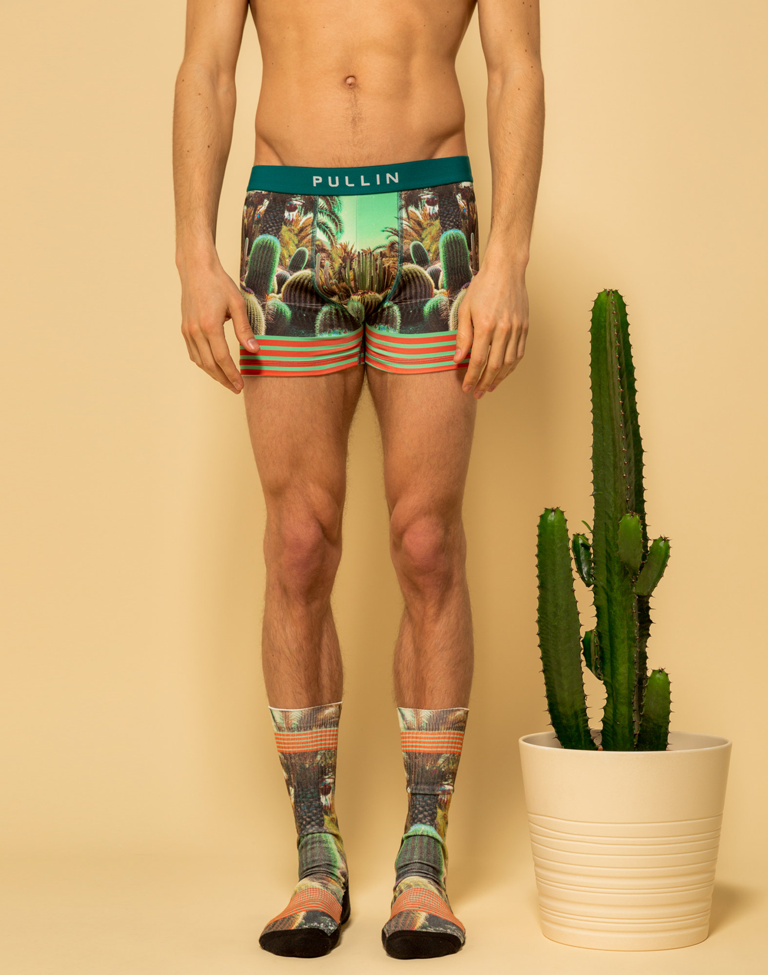 Boxer homme Master CACTUS