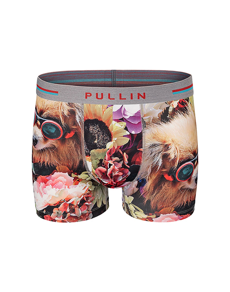 BOXER COURT CHIWAWA