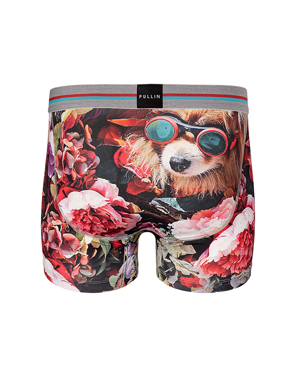 BOXER COURT CHIWAWA