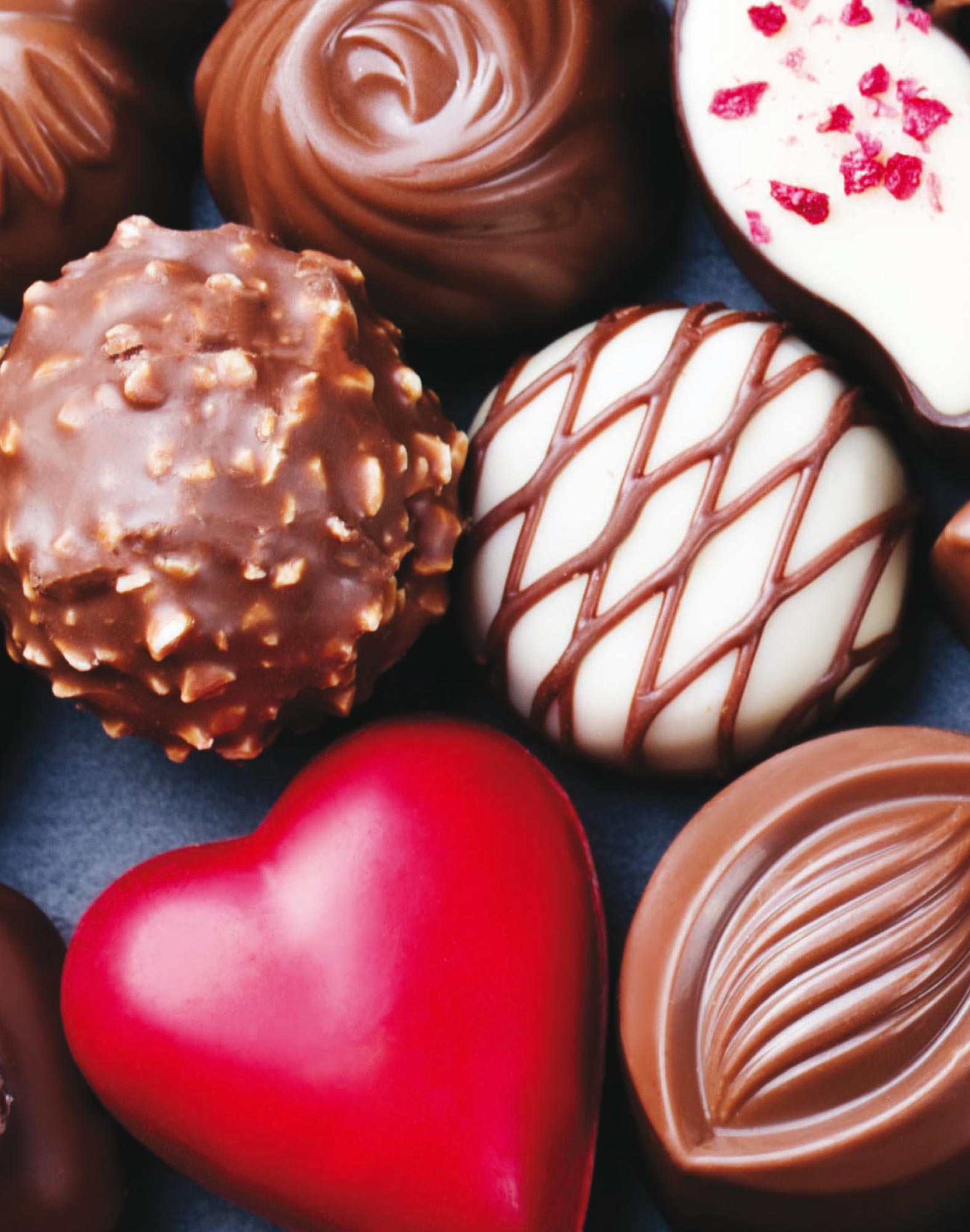 BOXER COURT CHOCOLOVE