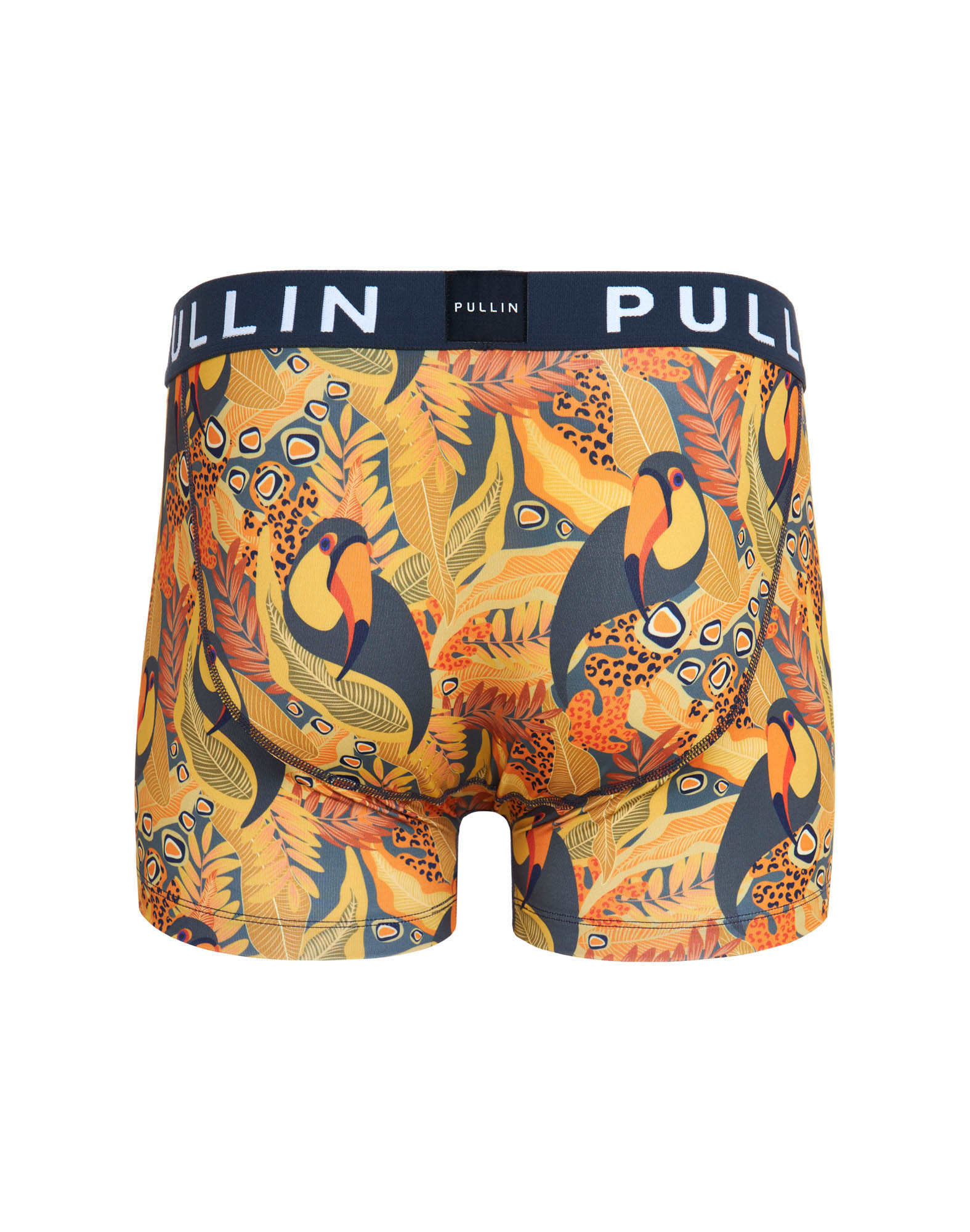Men's trunk Master COCONUTS