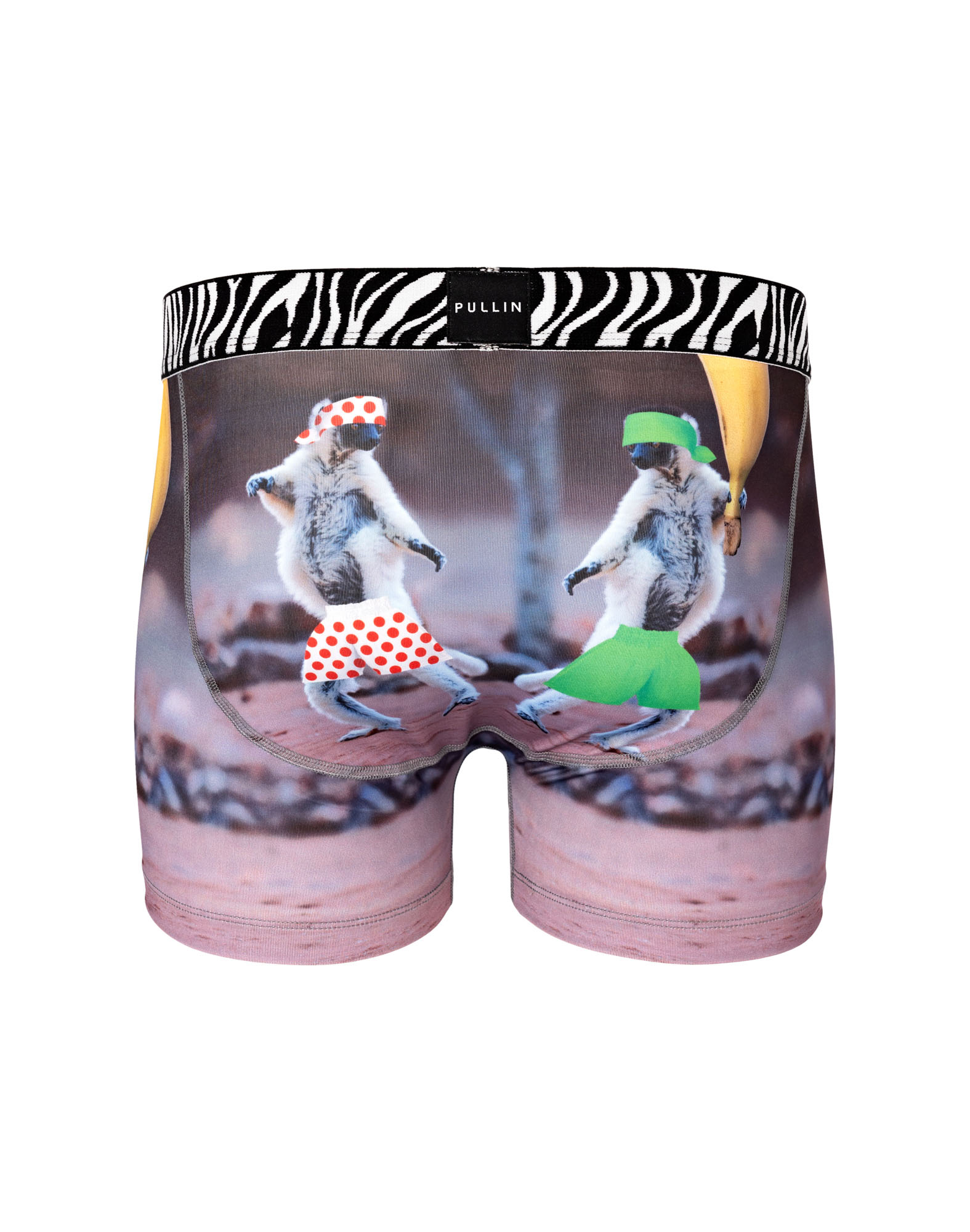BOXER COURT COMBATTANT
