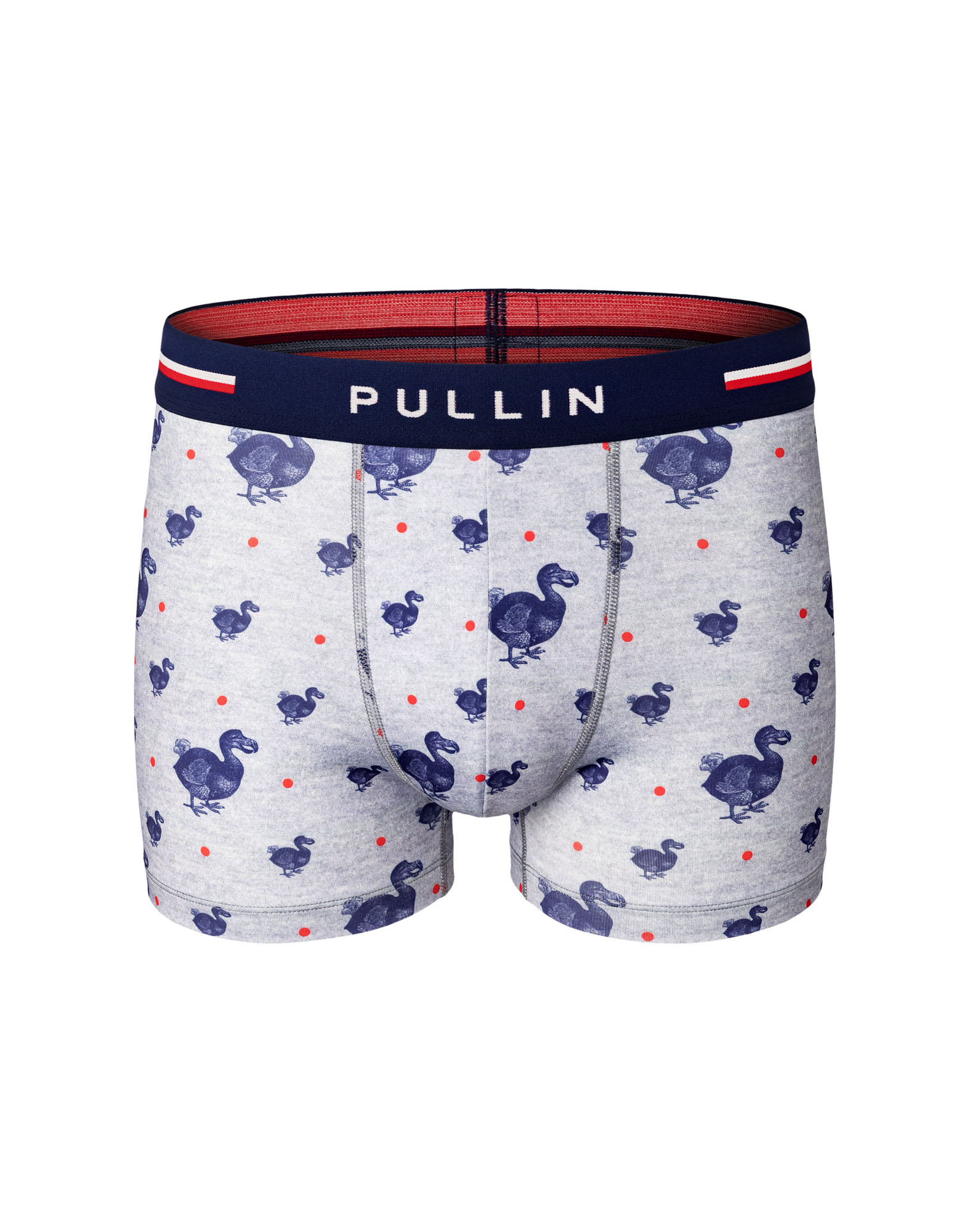 BOXER COURT DODONEW