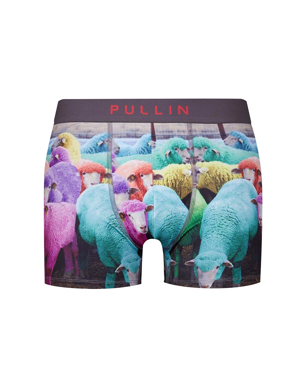 Men's trunk Master DUMB