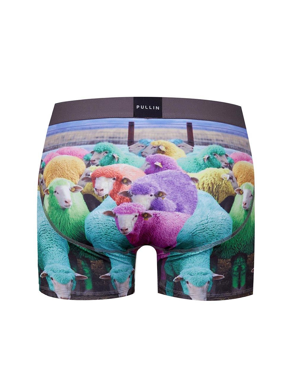 Men's trunk Master DUMB