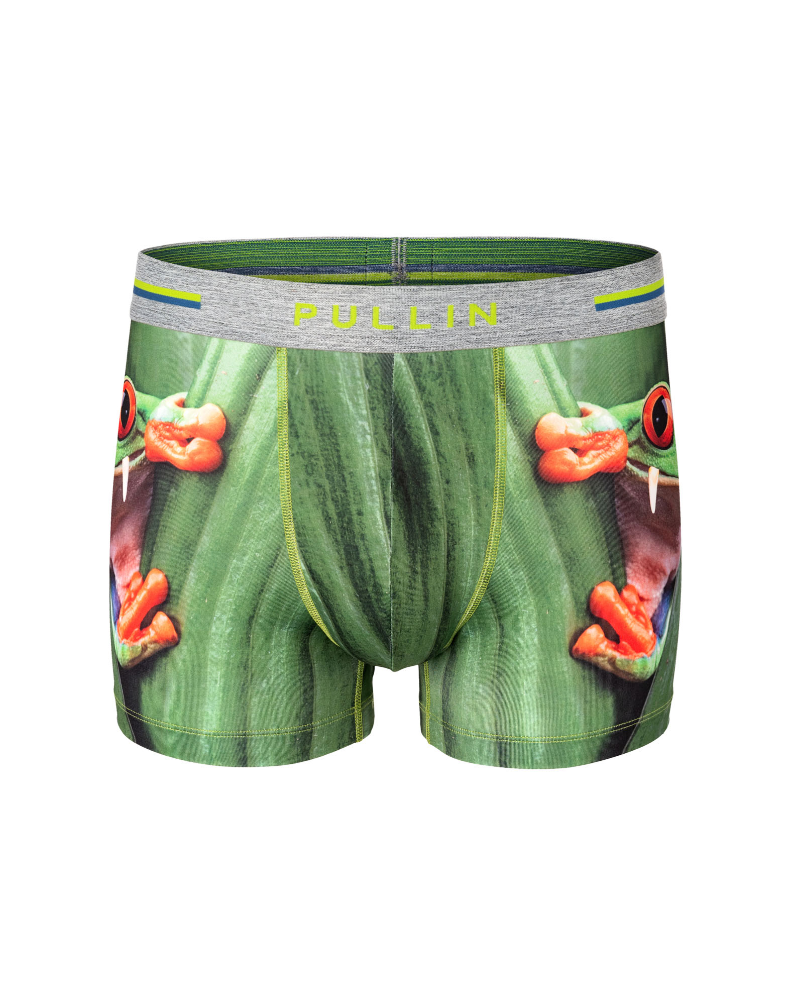 BOXER COURT FROGGY