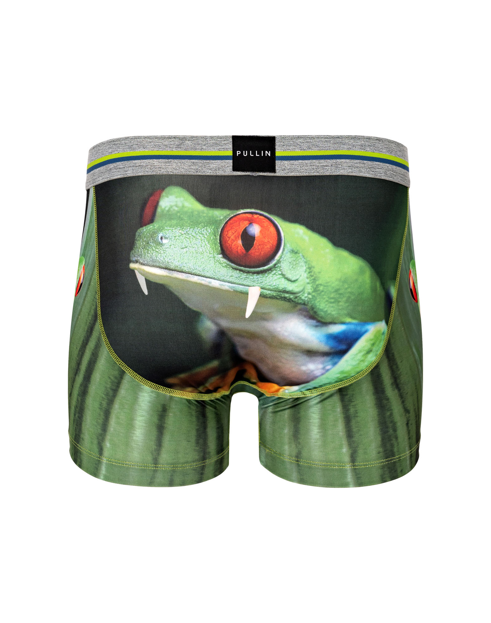 BOXER COURT FROGGY