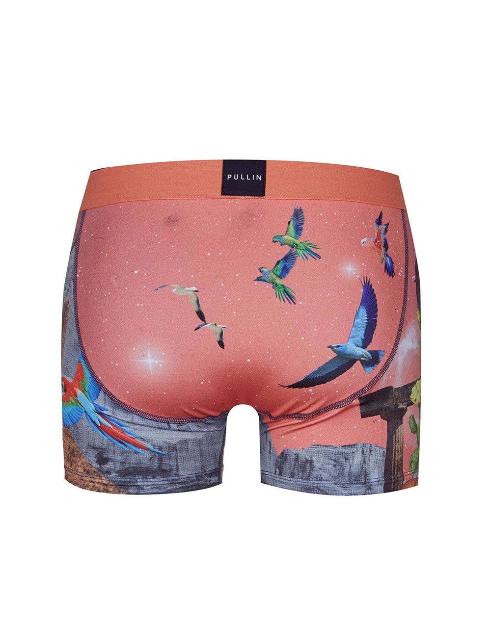 Men's trunk Master GOMORRHE