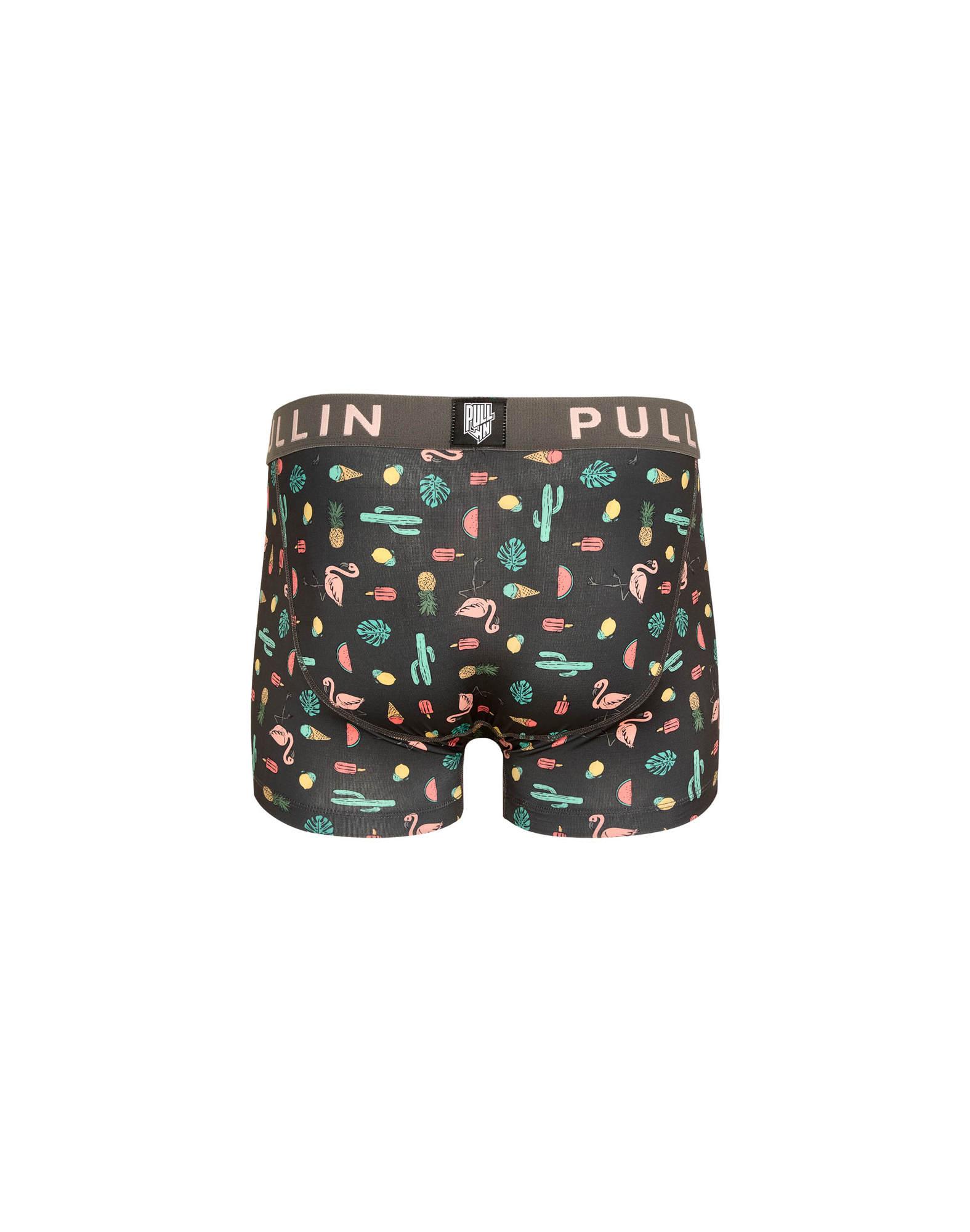 BOXER COURT ICEFLA