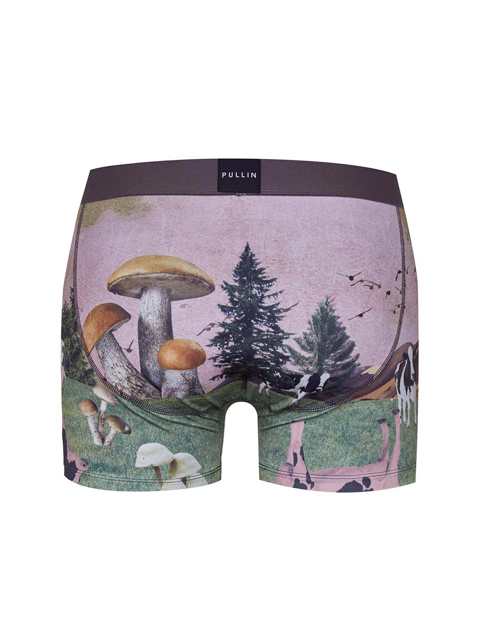 Men's trunk Master INTOX