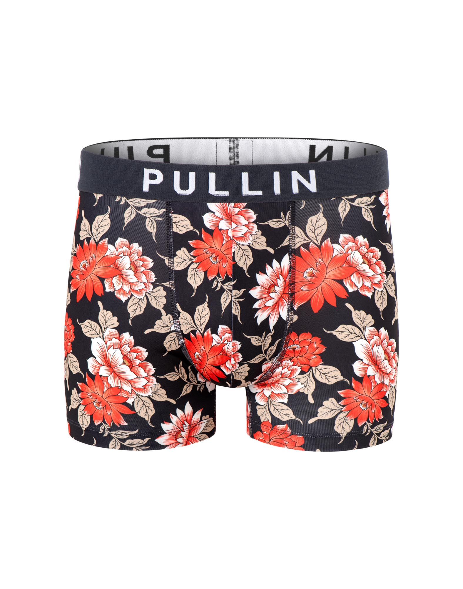 BOXER COURT JOSEPHINE