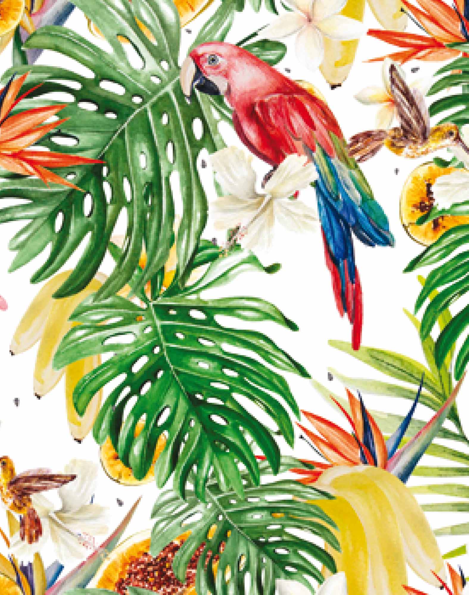 BOXER COURT JUNGLEPART