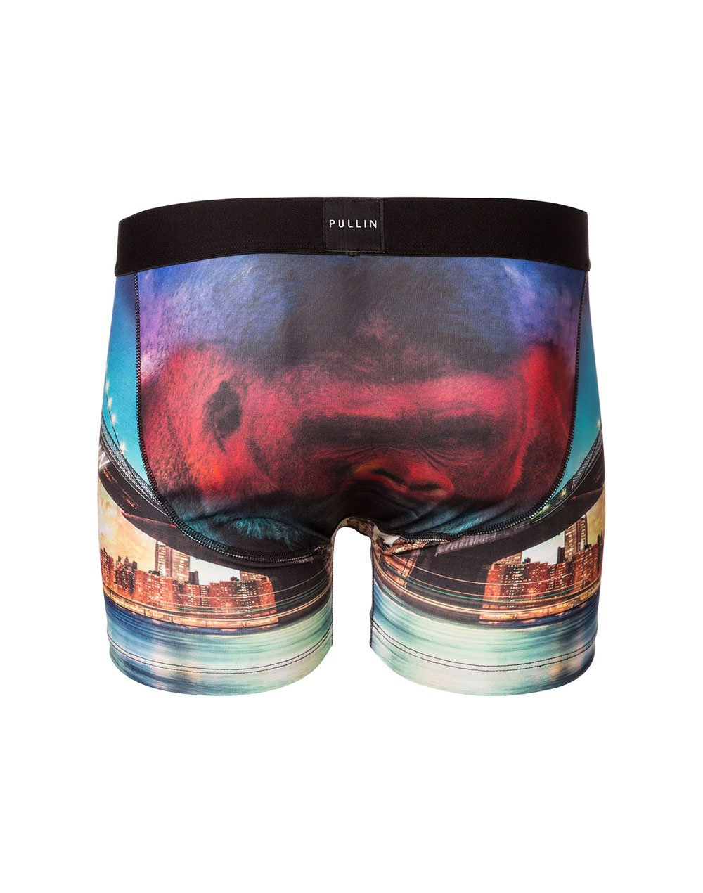Boxer homme Master KONG
