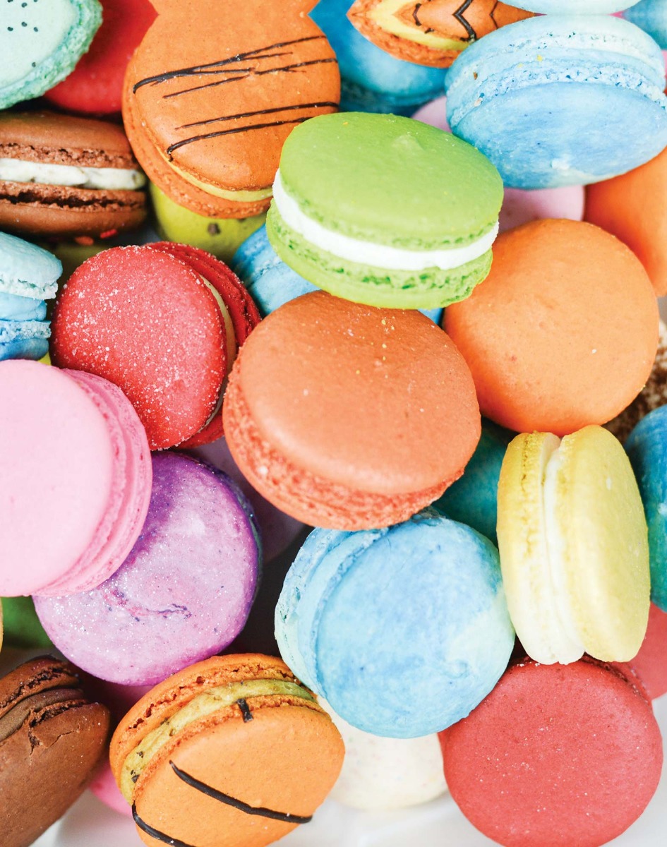 BOXER COURT MACARMIAM