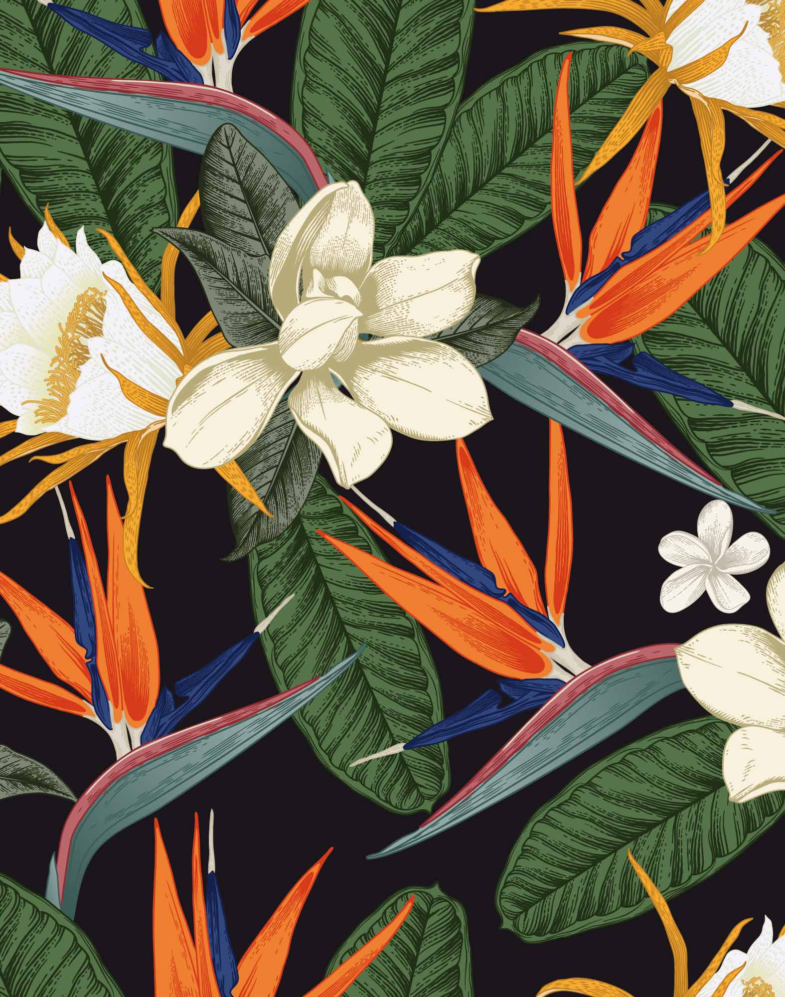 BOXER COURT MAGNOLIA