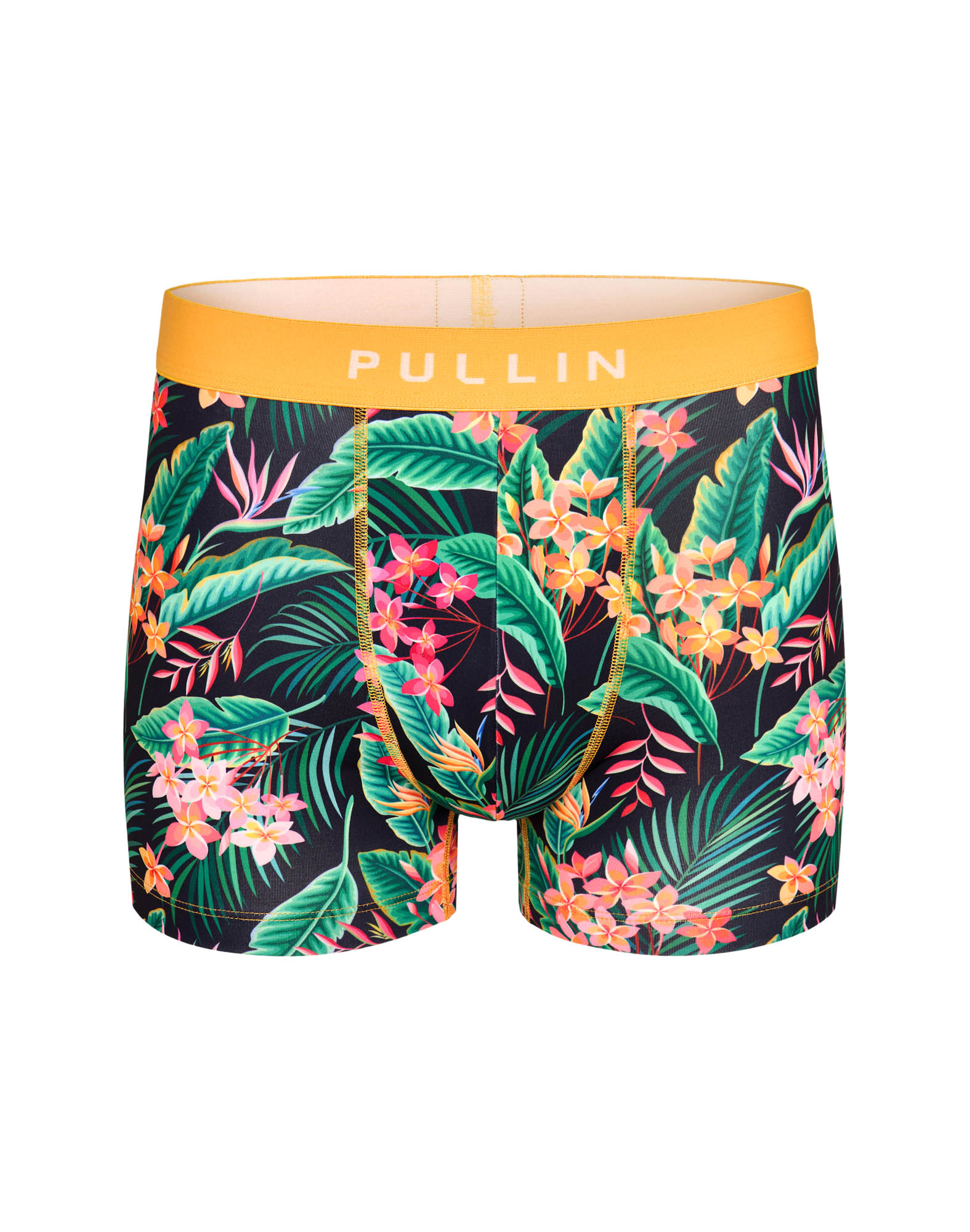 BOXER COURT PALAPALA2
