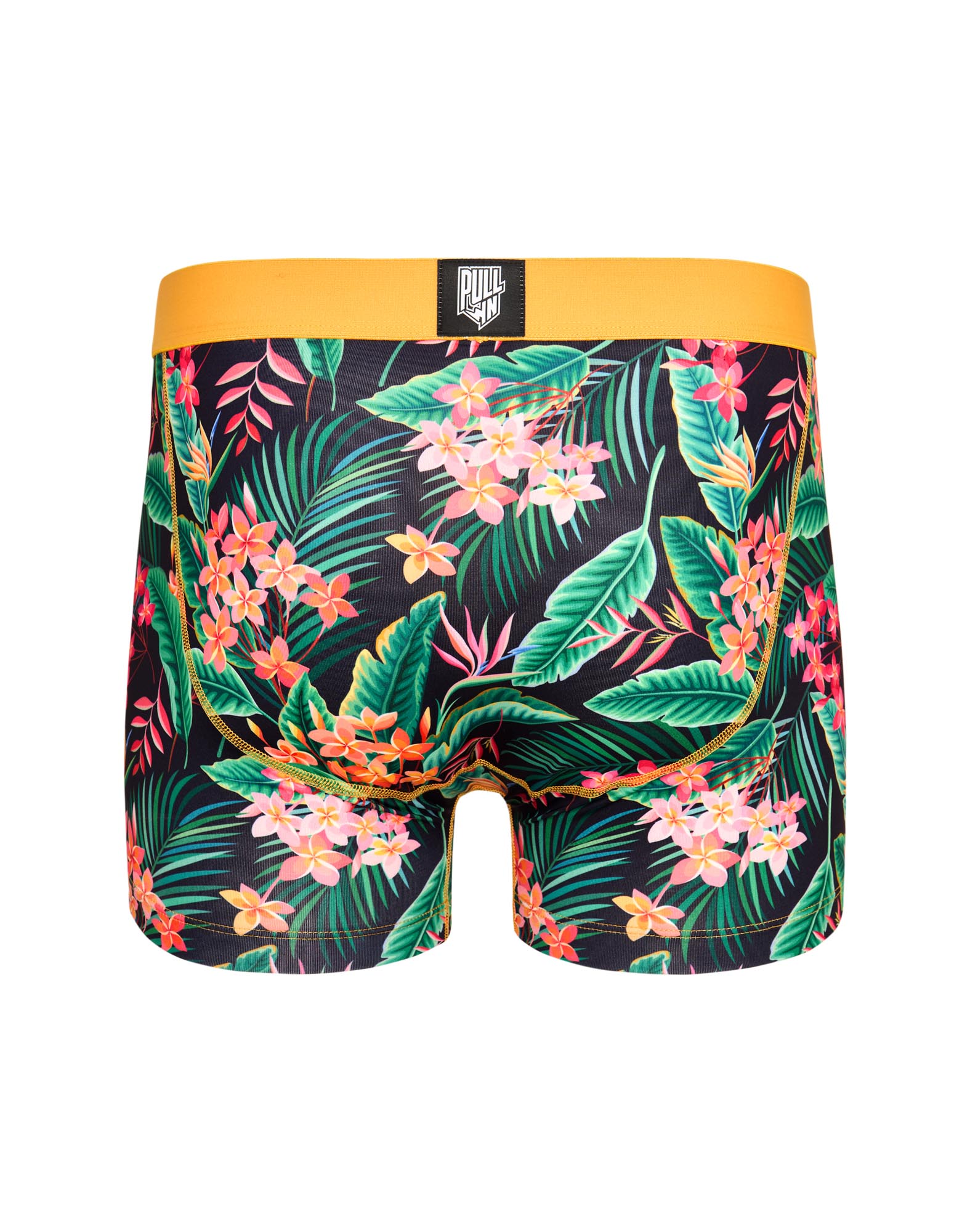 BOXER COURT PALAPALA2