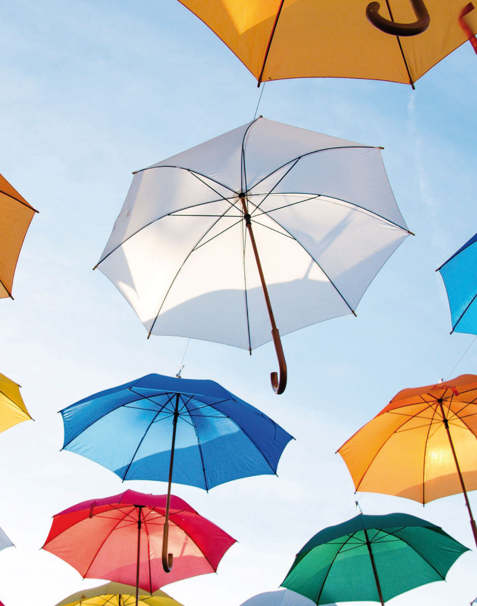 BOXER COURT PARAPLUIE