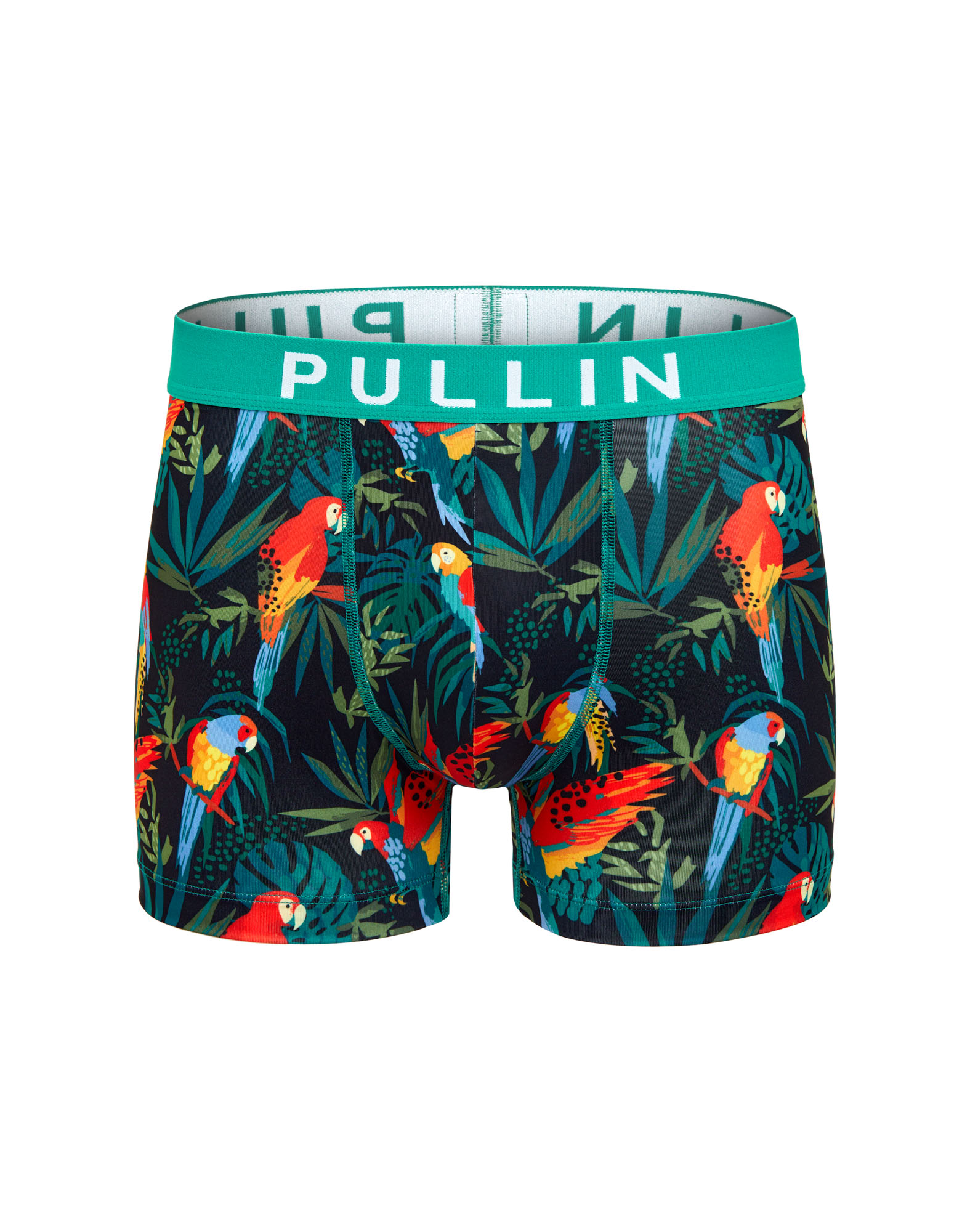 BOXER COURT PERRO