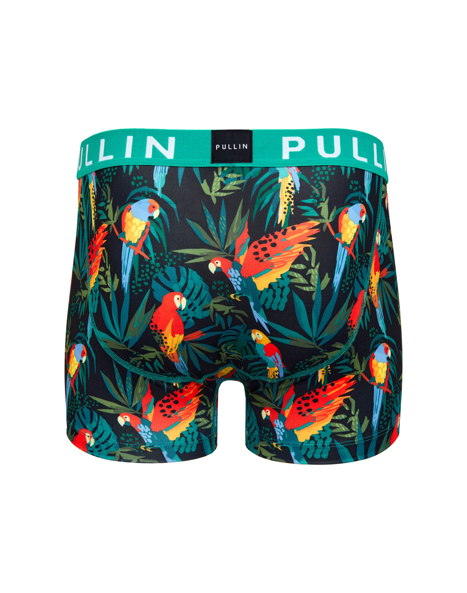 BOXER COURT PERRO