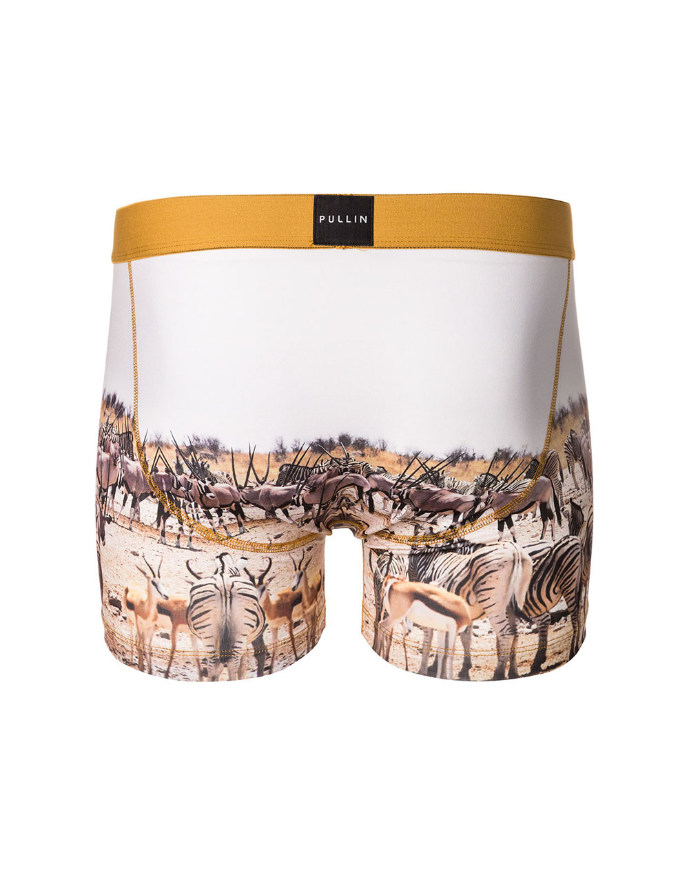 Men's trunk Master PHANT