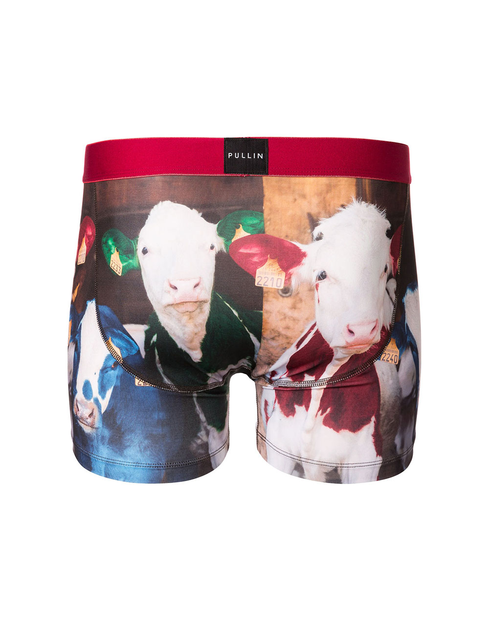 Men's trunk Master ROBERTA