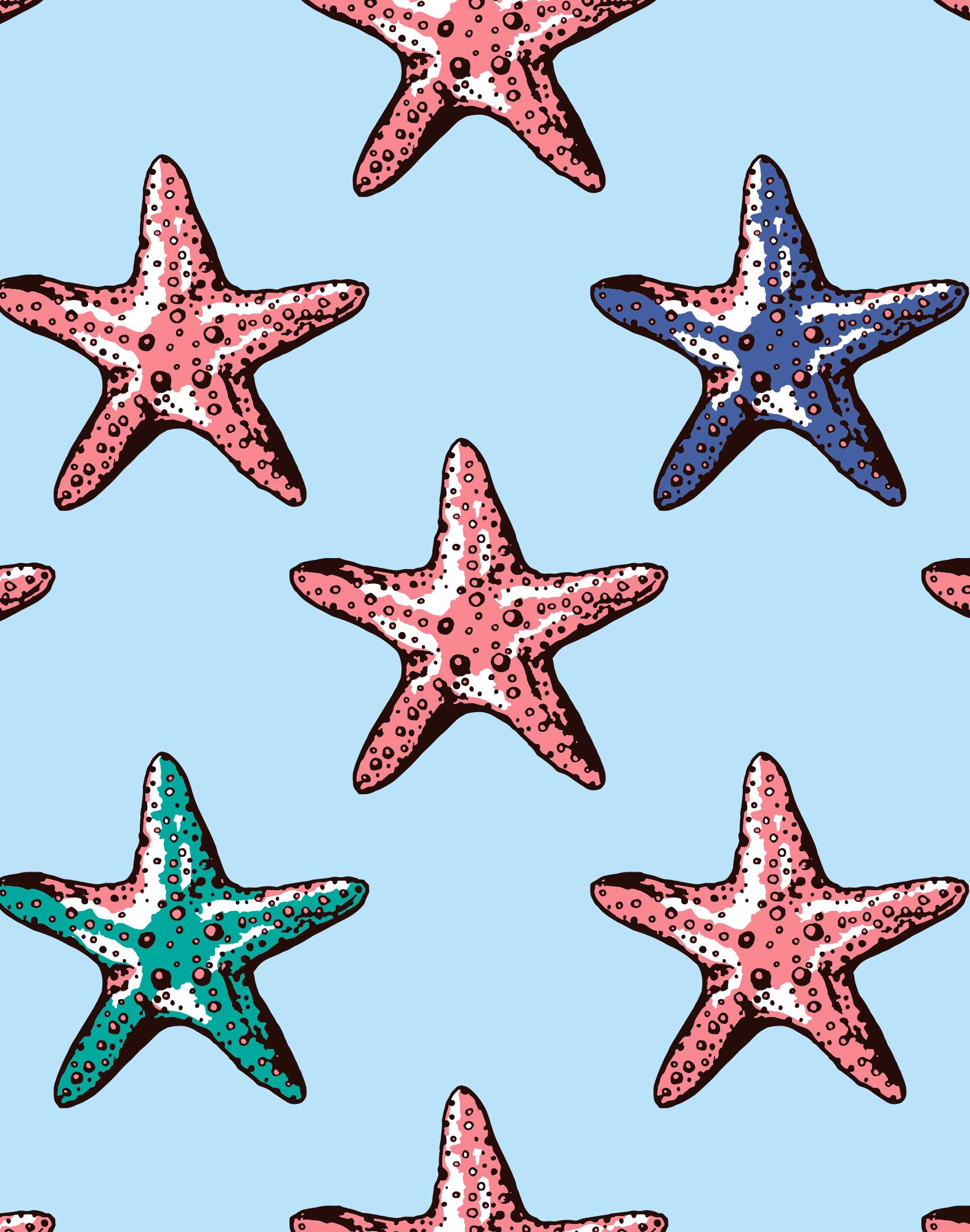 BOXER COURT SEASTAR