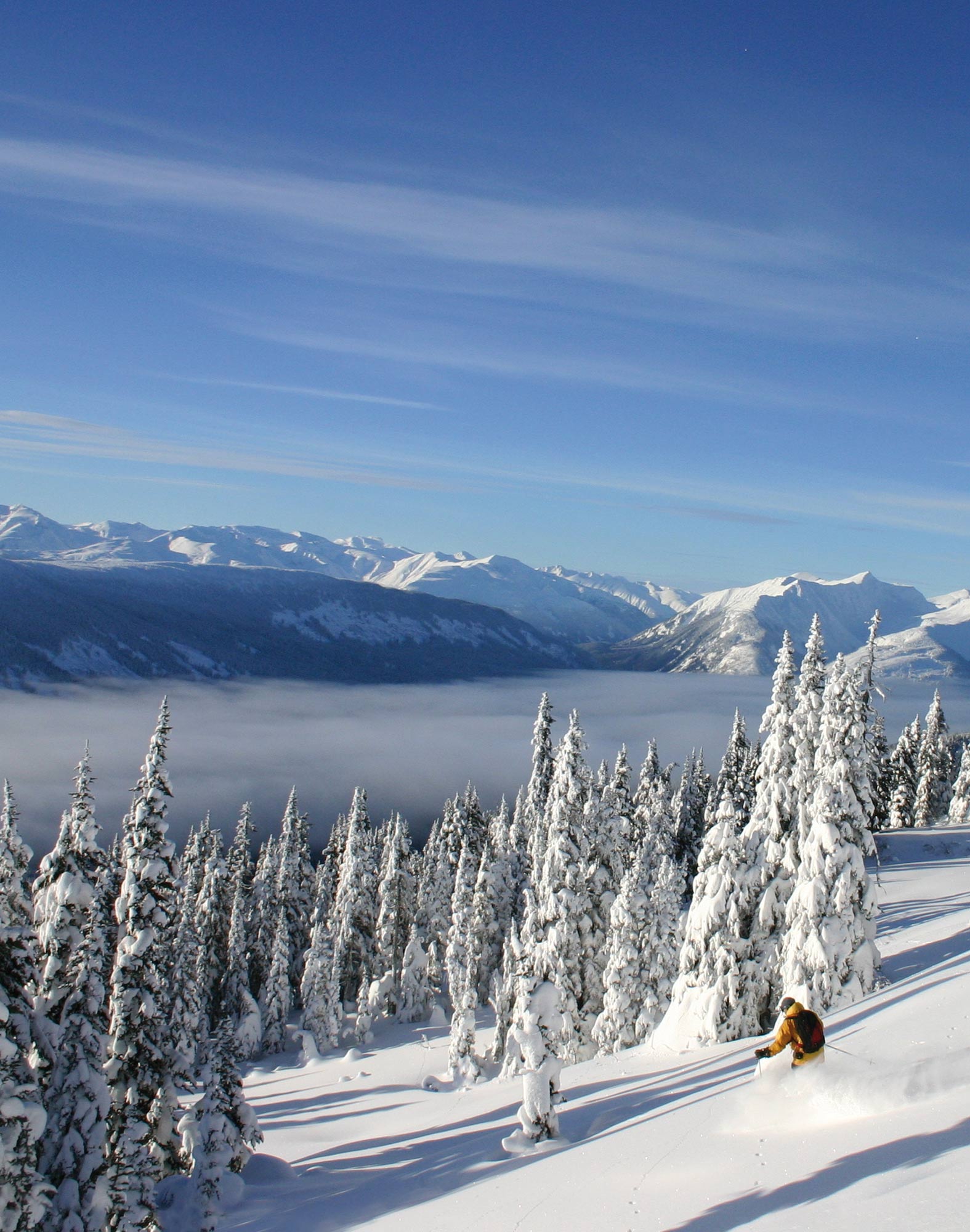 Men's trunk Master SKIPARADISE
