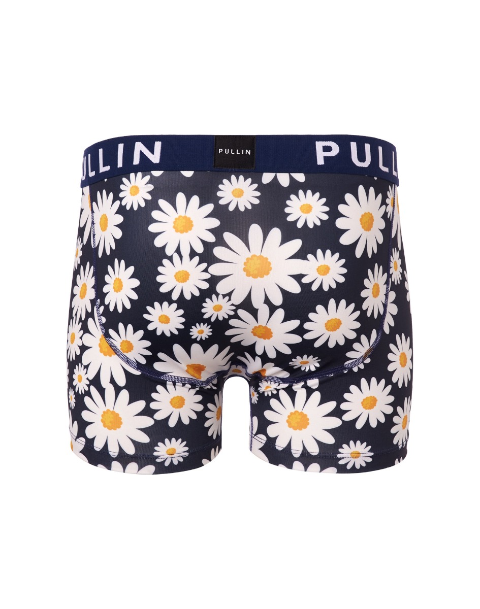 BOXER COURT SUNFLO