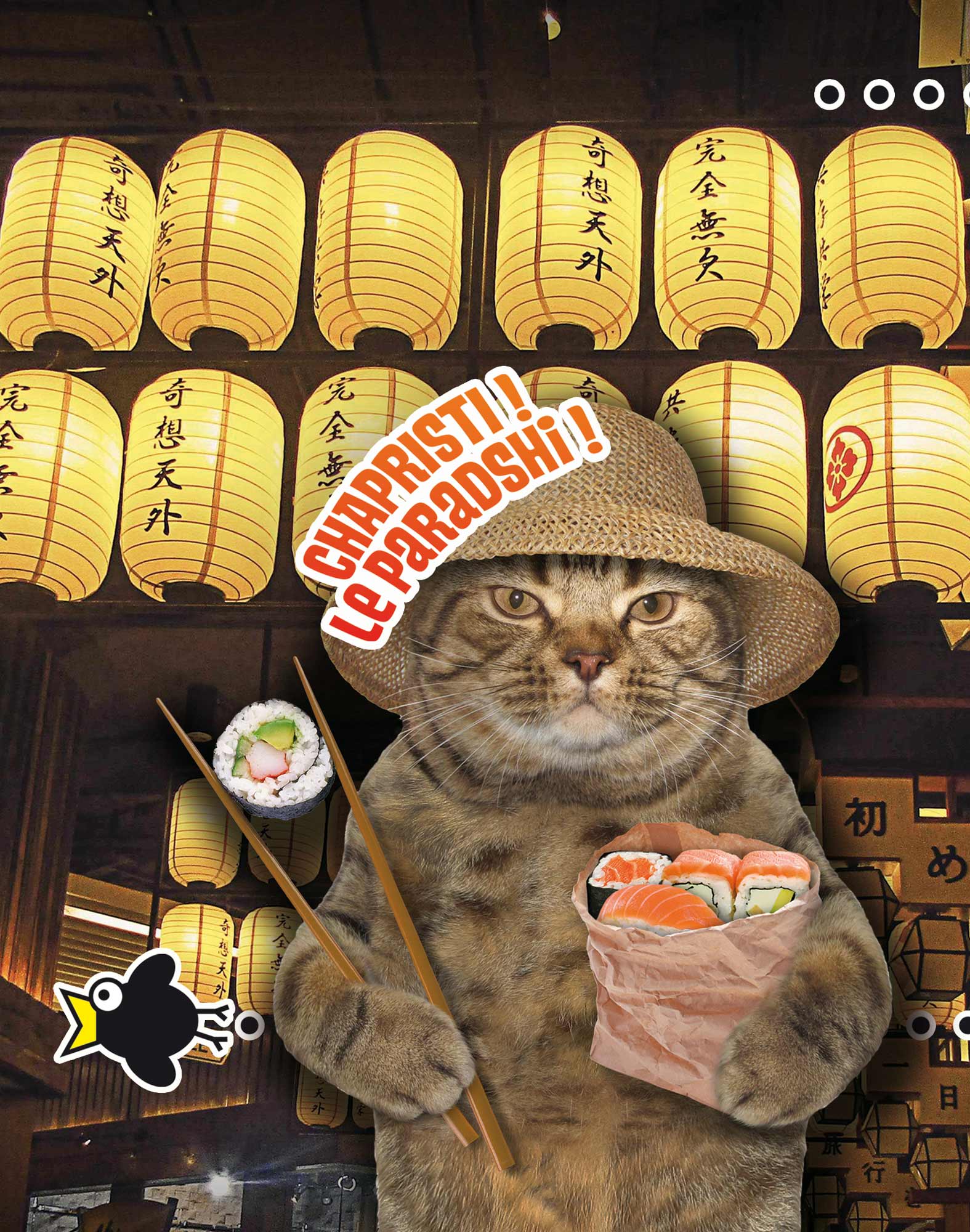 BOXER COURT SUSHICAT