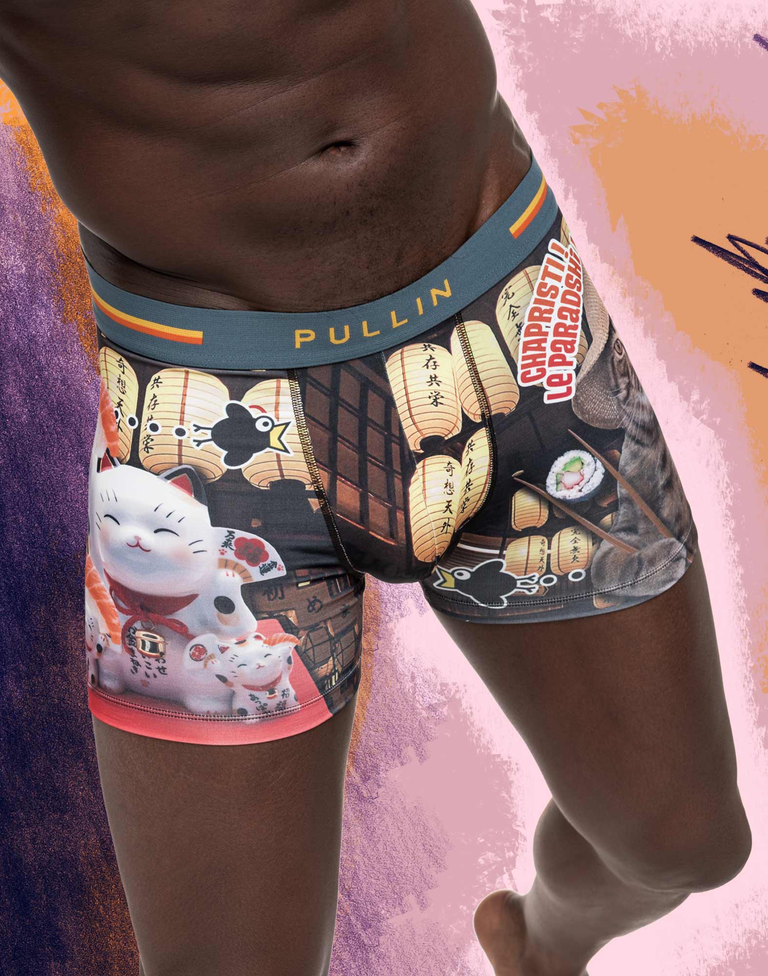 BOXER COURT SUSHICAT