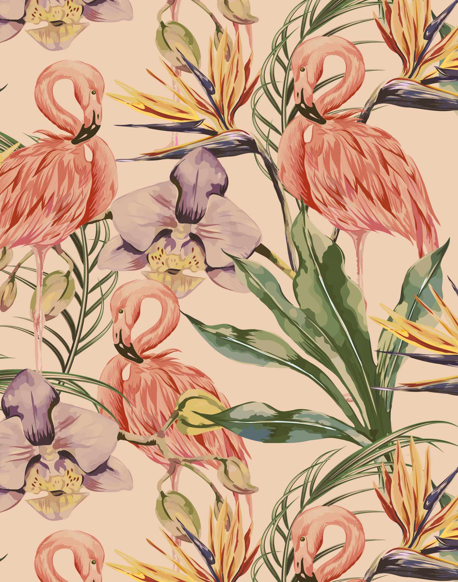 BOXER COURT FLAMINGOTR