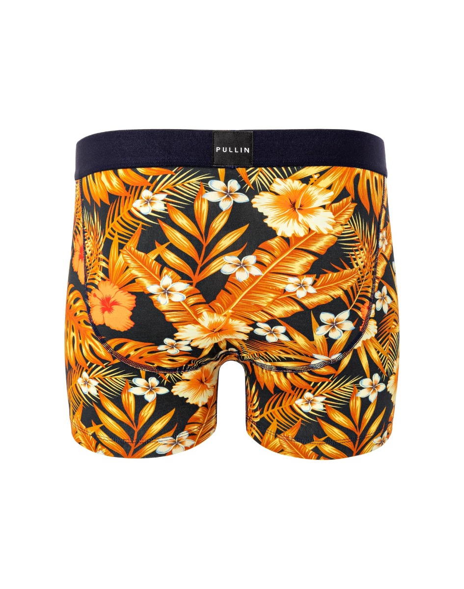 BOXER COURT NIGHTPALM