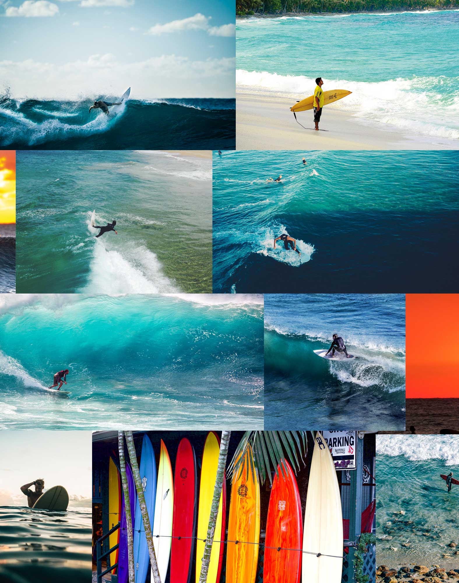 BOXER COURT SURFEUR