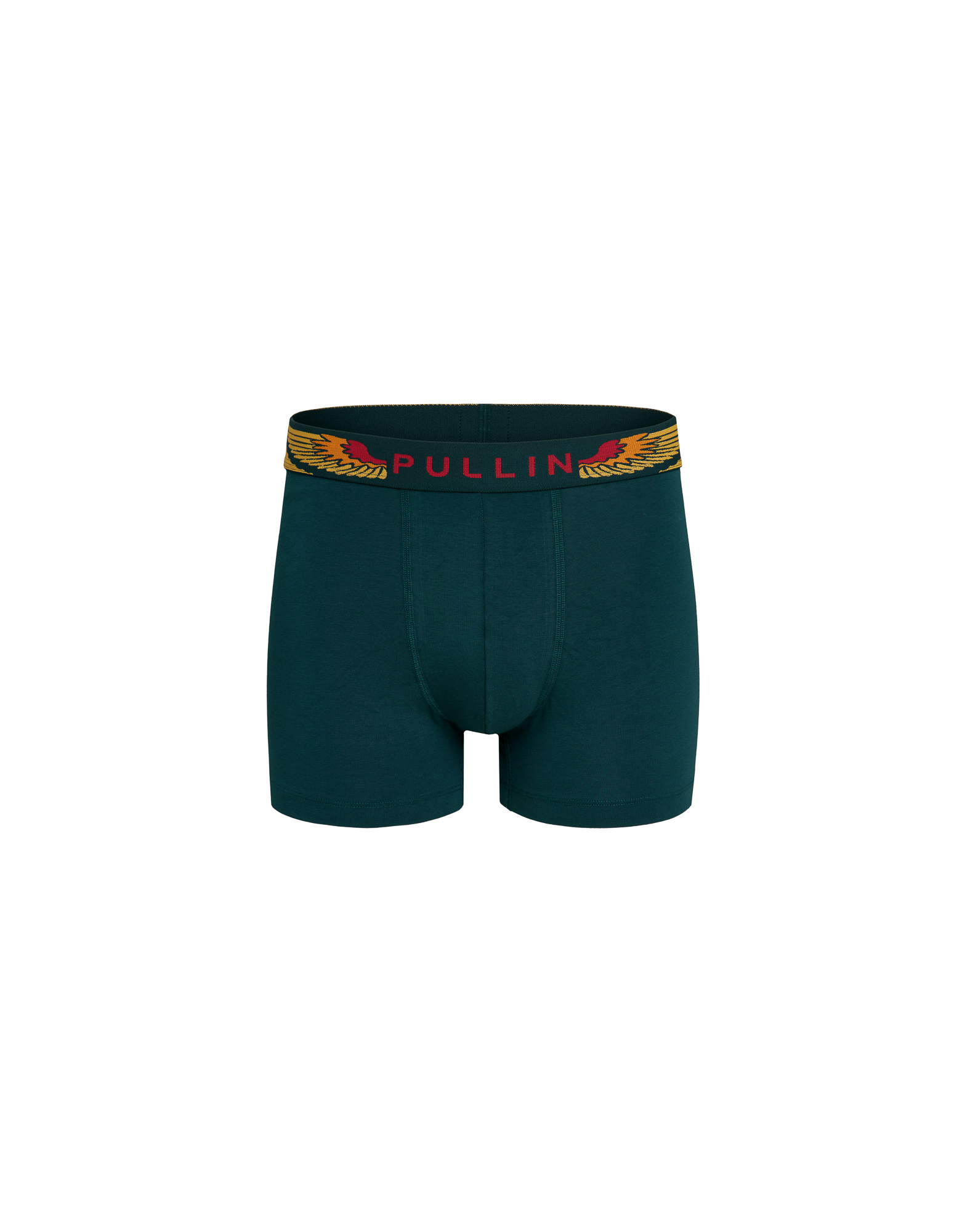 Men's trunk Master WINGSGREEN