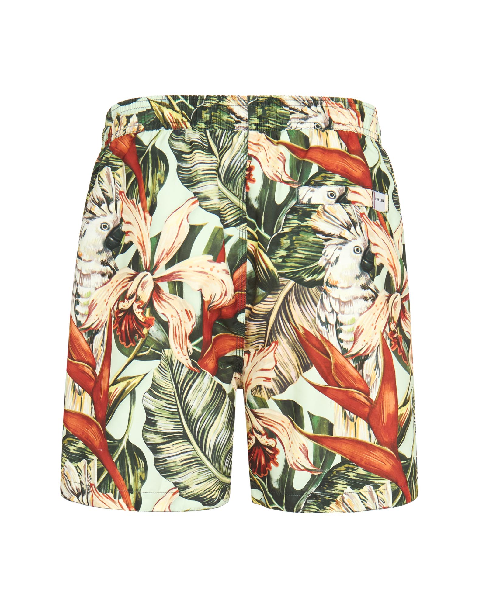 Men's short PAKO BOTANIK