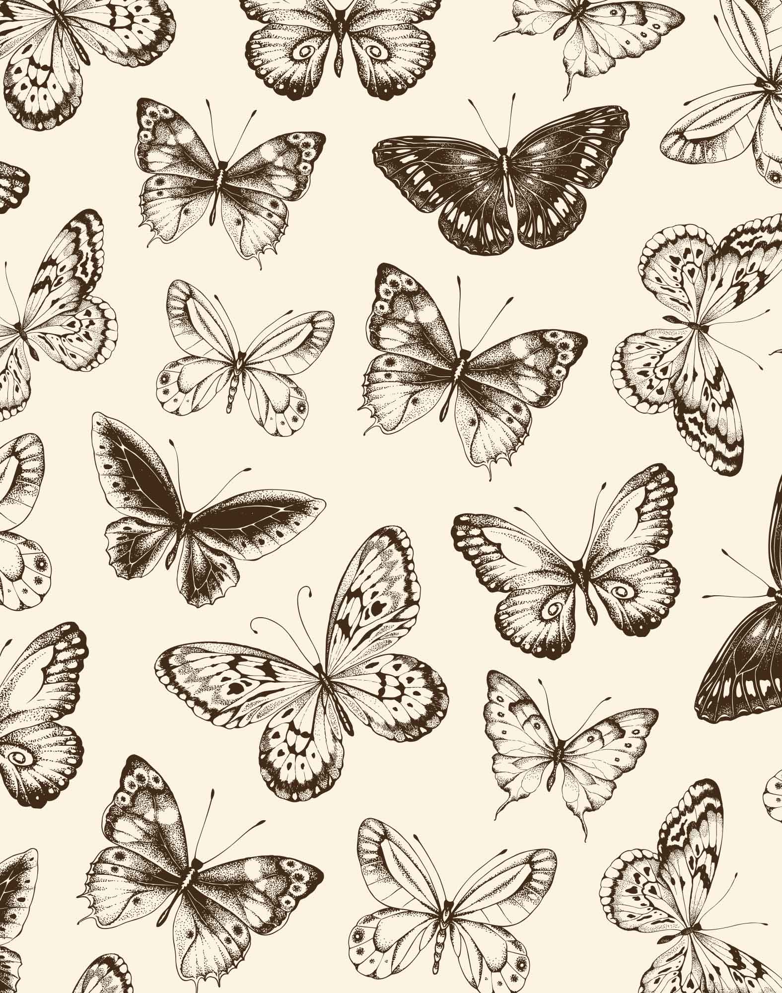 Caleçon homme PARACHUTE BUTTERFLY