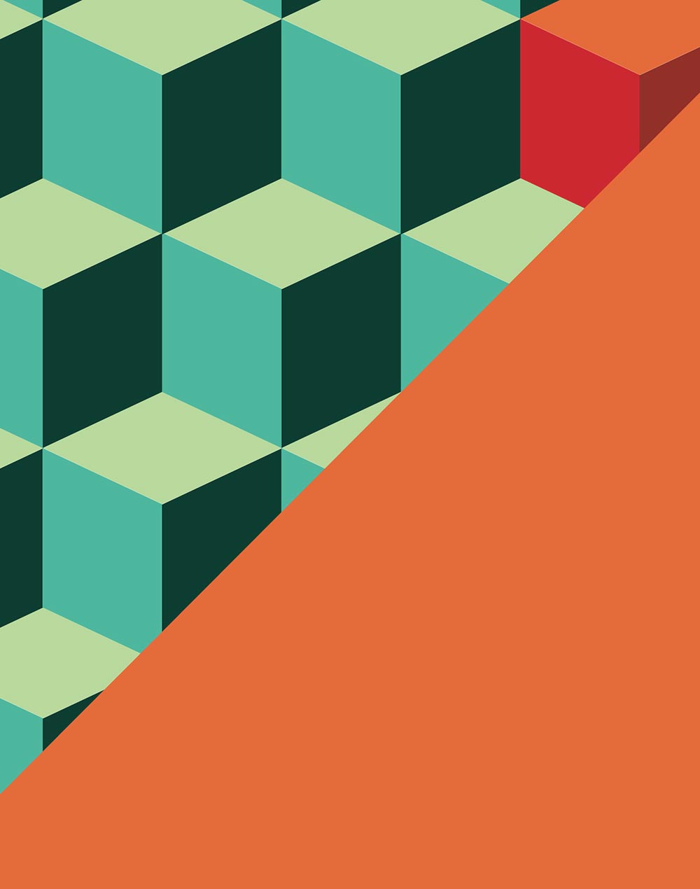 Socks OPTICAL