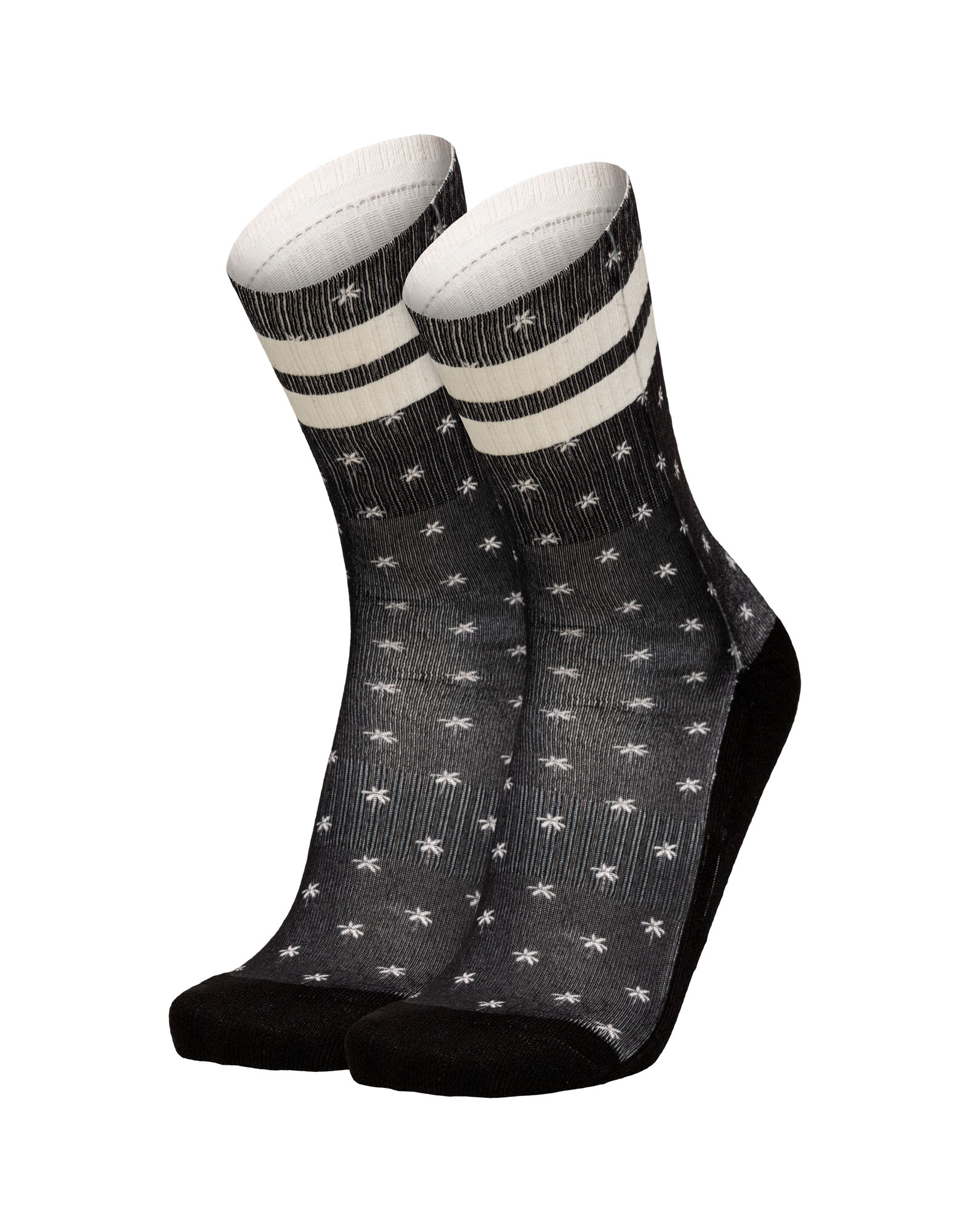 Chaussettes LONGBLACKPALMS