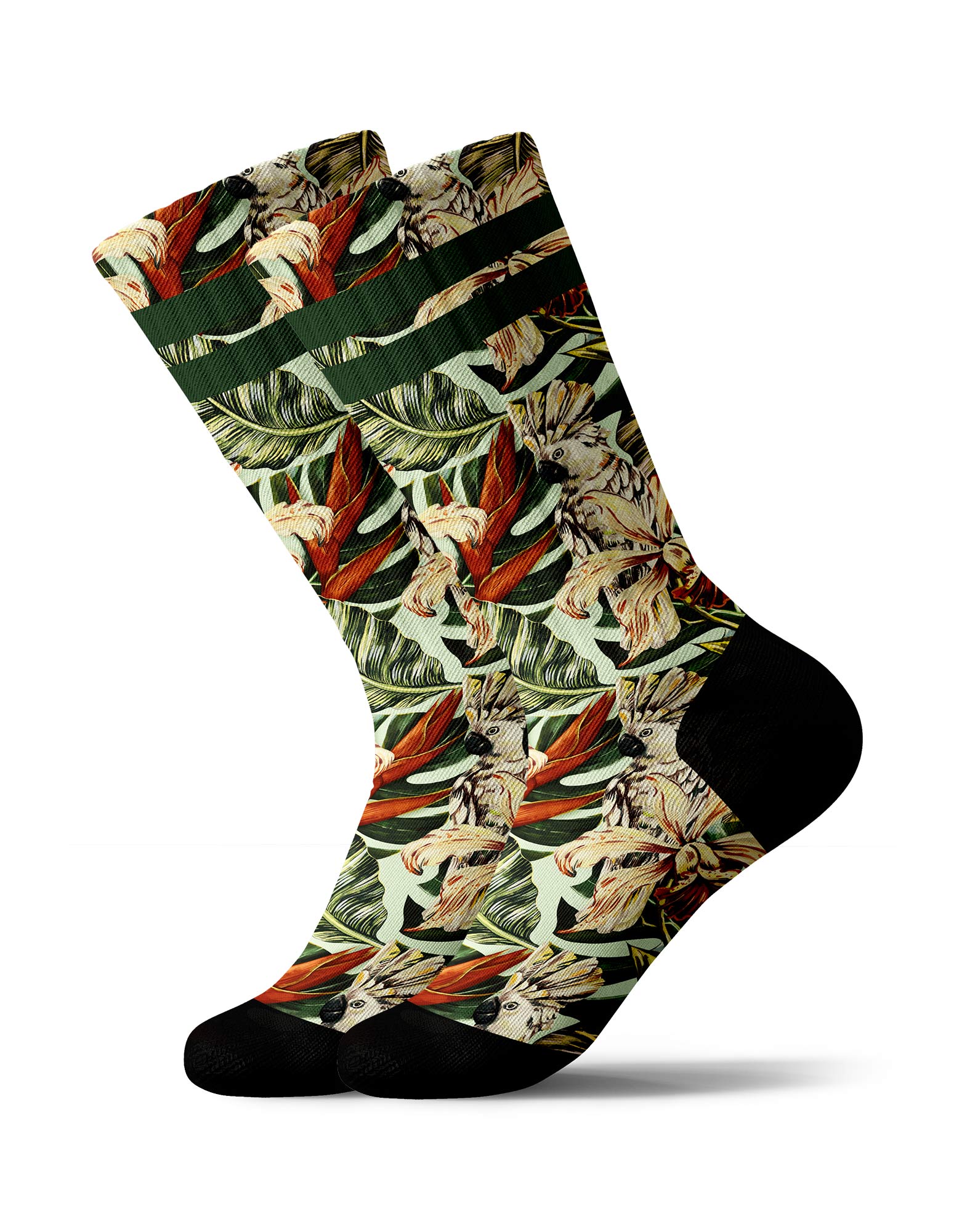 CHAUSSETTES SUBLIMÉES BOTANI