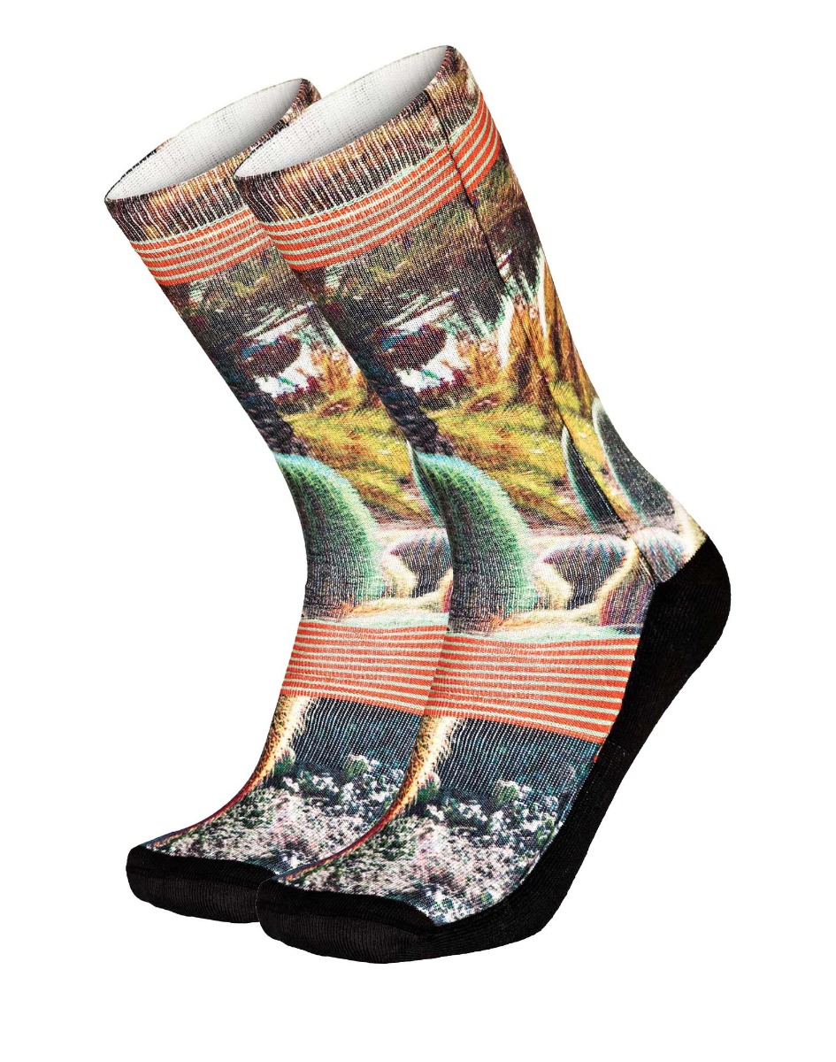 Chaussettes  LONGCACTUS