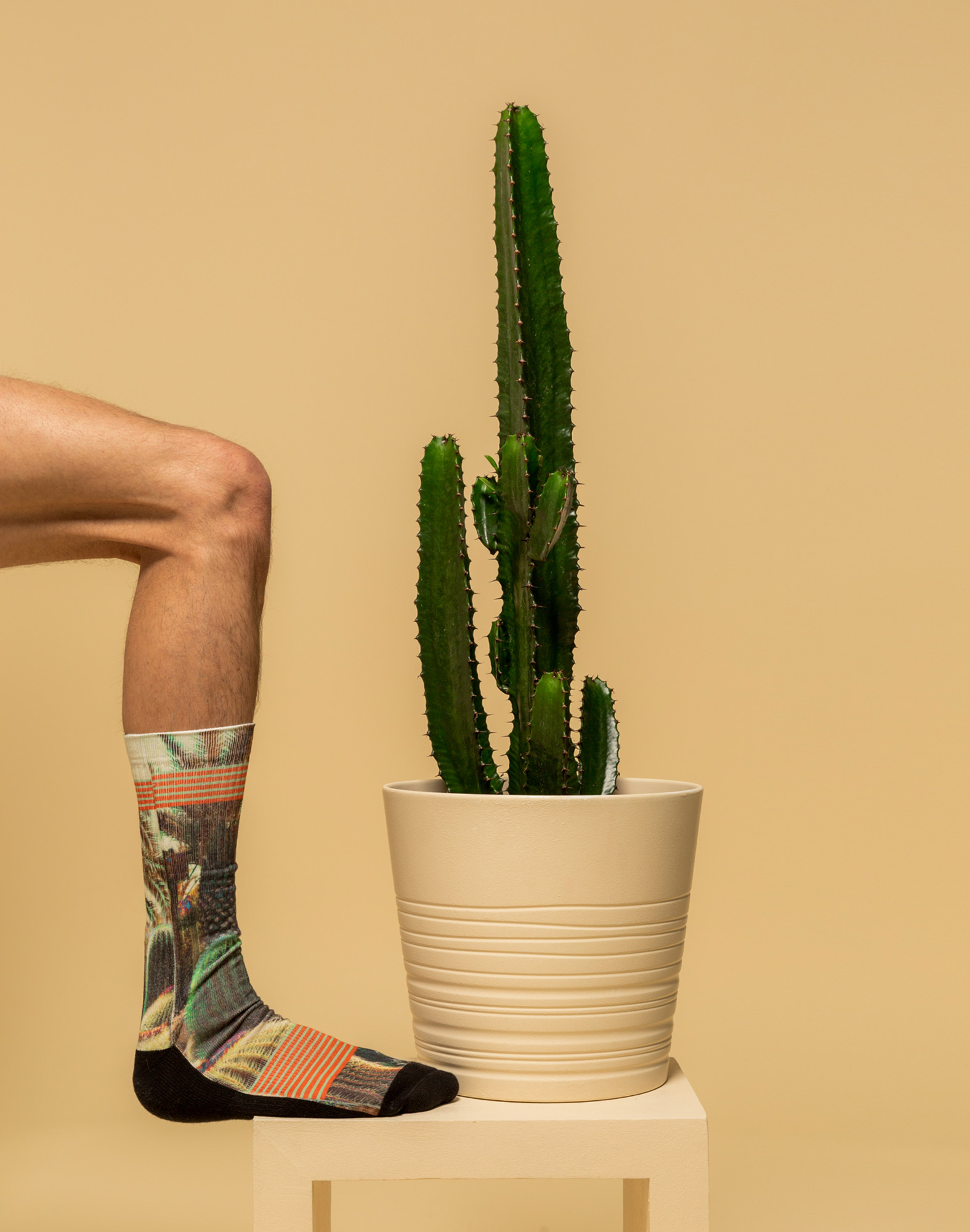 Chaussettes  LONGCACTUS