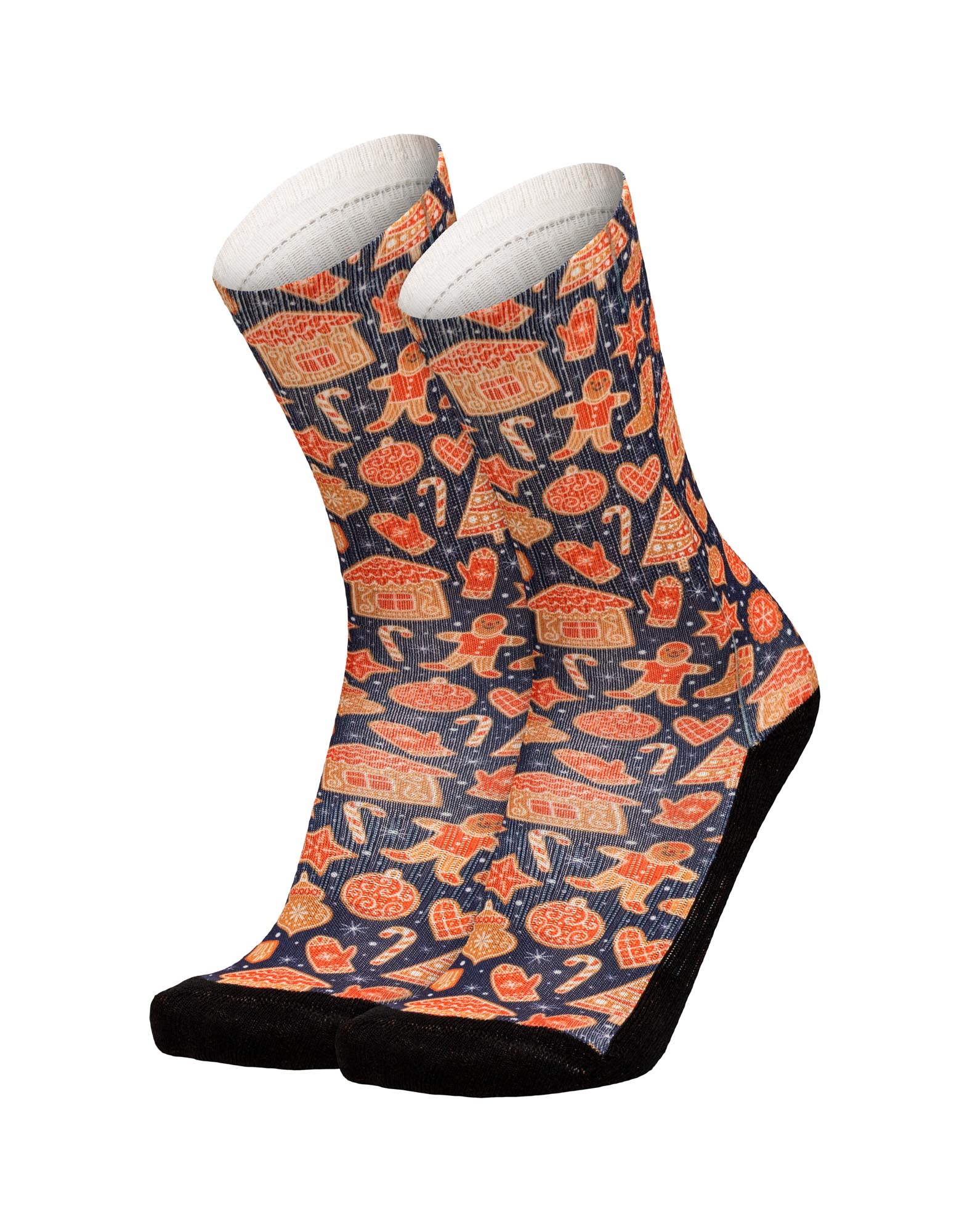 Chaussettes LONGPETITBISCUIT