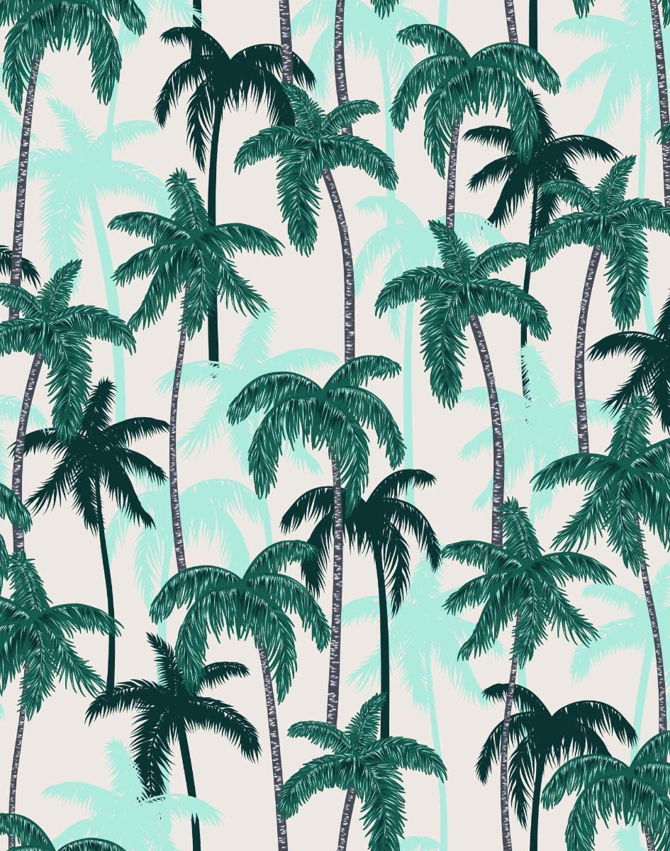 CASQUETTE TRUCKER HAWAII21