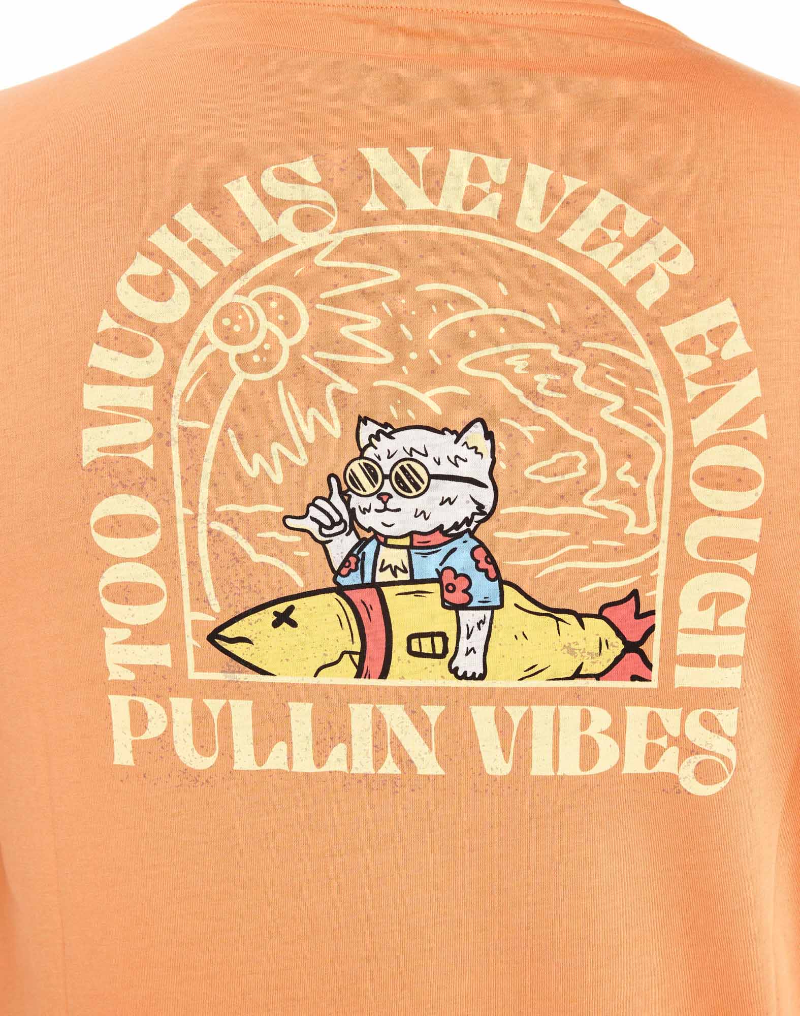Men's t-shirt CATVIBES