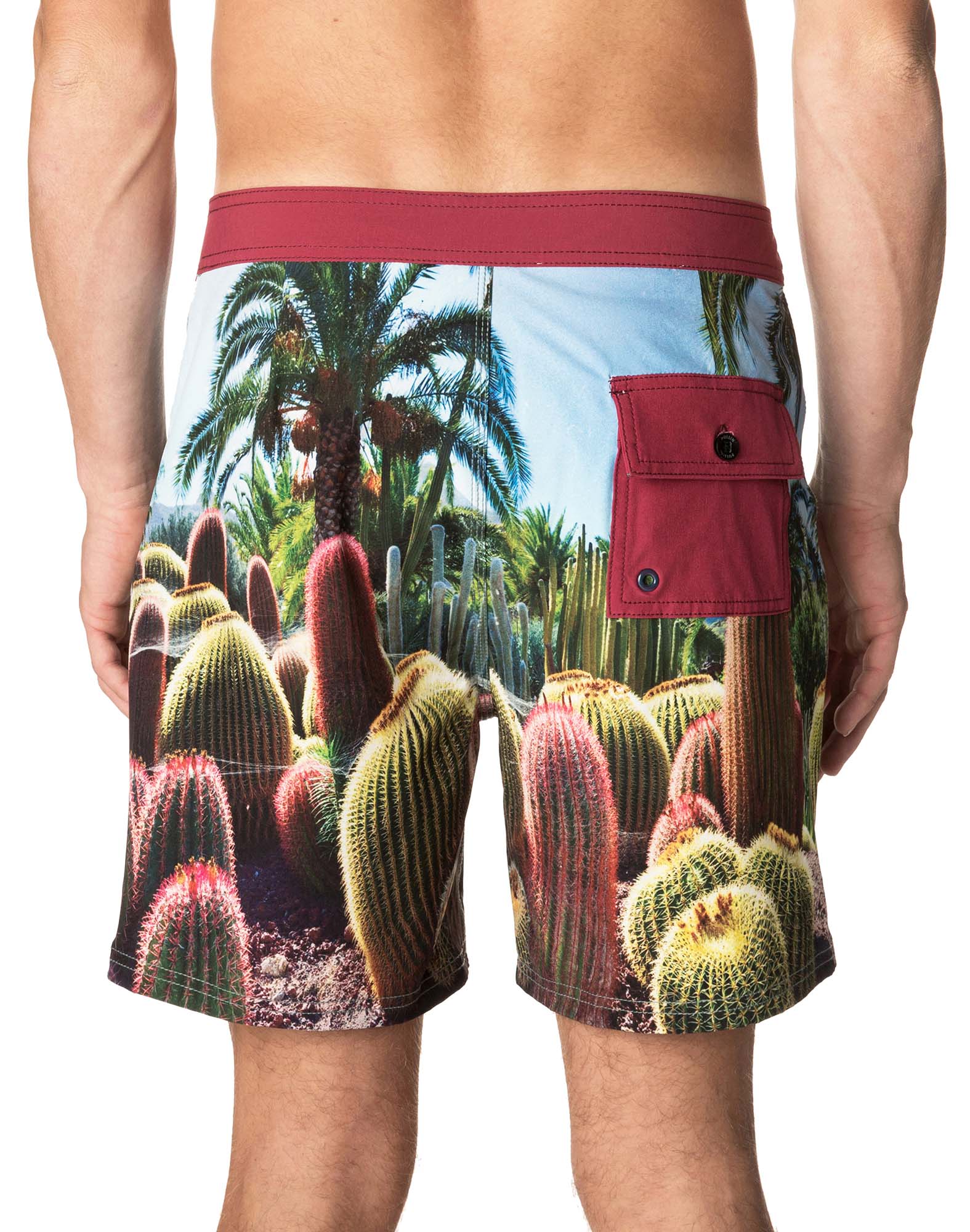 Short homme TZAR CACTUS